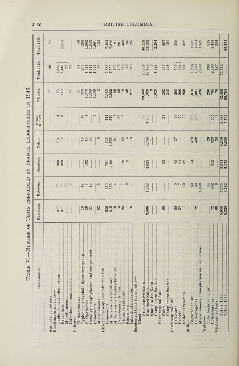 Table V.—Number of Tests performed by Branch Laboratories in 1946. lO O H Cl> o H o 4-> o •H CD CD i X 00 03 CO rH x 00 rH rH 05 X X 00 03 i i Tjl t- rH 05 03 05 rH 05 t- 00 rt< 1 1 rH X i X O Tjl o CO 00 r- 05 o X 00 03 rH 05 i 05 O X t- o X 05 X rH 05 CO 1 X rH i i 03 O CO X rH X 03 03 H* rH rH rH i i 03 X rH 7j< CO X X L-; CO 03 • X <M~ i rH tH t- C- o CO i i 03 rH rH rH rH 1 x> Tf rH i 00 o / X X (M <M 00 rH 00 t~ 03 X X o CO X 03 03 00 X 05 CO 00 CO 00 o rH rH X o 05 o o t- 03 1 1 00 X X 03 X CO X 00 X rH rH 03 CO X rH X Til 03 X CO CO °0 00 X co rH X 1 rH rH rH X t- o t- rH rH rH 03 03 03 1 1 03 rH o o 00 <03 1 t-H rH o 00 X 05 03 CO 03 o 03 03 03 t- X 00 CO 00 03 00 00 X o 00 rH X o X o X 00 X X 03 00 o t- o 00 00 03 00 X rH 00 t- X 03 03 X 7t< 05 o X rH o 03 05 00 o o 05 rH | 03 co 03 X rH 05 rH 03 05 05 03 03 03 03 03 o o 7t< 03 t- t> rH rH rH CO CO o rH tH rH rH rH 03 X i 03 rj< X 0) 4^ c ^ •Eg o s 3 c cd £ 05 ! ! O rH ! CO 1 -3< O X O 05 ! ! X 00 1 ! CO 1 05 O 05 X X ! : x •** CO 03 1 1 ! rH 1 1 1 1 Ht- CO co co ! ! 03 1 03 03 03 05 05 ! ! X 00 05 1 1 i i 1 1 1 > tH 03 03^ : ; 1 1 03 03 ! ; x 05 1 i 1 1 1 1 t-H ' ' 1 1 ■ 03 X ! Tji 03 1 ! ! 00 IO Tt< 1 X CO 05 : 03 CD ! 00 1 1 1 1 1 t- 1 ! 05 03 1 X CO 00 O 05 ! 0 x i : H H Cl 1 1 03 X 03 I X rH i 00 : ! ! co : ! t- 00 ! 03 03 CO Tf 00 ! 03 ; 1 1 1 1 to X 1 1 ! L— ! 1 1 1 1 1 1 ; 7)i j CO 00 00 l l 1 1 » tH l 1 Hf ! 1 1 1 1 l 00 00 ! CO 05 ! ! ! : 03 1 ! 1 r-l 00 ! ! 05 CO : i CO i 1 co ,! X rH 03 T* ! j : 03 1 1 0 03 : l : : 0 i i : 03 05 ! : t- : 03 1 l 00 1 t- 00 X 1 ! 1 x : ! 05 oo ; ! rH 1 1 1 1 0 1 1 1 1 1 1 : 00 j 1 1 I! 111 rH ' 1 1 1 HT l 1 1 1 1 1 7t< 00 X 1-i 00 X cd c £ 'll 09 a S cd W ! O CO 03 03 1 t- t- CO ! X O X Tt< O 03 t> 1 03 1 1 II 05 t- 05 Cl Oi CO 7f 03 X X 03 00 CO 03 ! rH rH 1 I tH CO ! X 1 i 1 r-l CO CO 00 7)< O X 00 1 1 1 1 03 CO j CO j | 1 1 I ■ 0 Tjl t> X 1 1 1 t-T 1 1 1 ' rH CO CO 1 t— tr- I 1 J 00 X rH 1 CO X X 0 CO CO lH 00 loll X 1 03 t> 1—1 1 03 1 : 03 05 X X 1 t- t- 1 1 : rH 03 CO 1 X CO T—1 rH rH 03 rH 1 X 1 1 X 1 X X 1 C- ! 1 t- X X 03 1 CO CO | 1 1 1 1 1 X 03 j 00 5 1 1 1 1 1 1 1 1 1 05^ CO 1 1 1 1 ' CO 1 1 1 1 1 i X X* c _o v> (0 6 • p-l s cd X W u S3 o • PH -M o3 I—< o o S3 •pH *cS £ • rH S3 < ft S3 O Vi bn 73 • pH I ^ C S I « -+-> V cd cd S3 ft- ■pH I ■g.'S, lex's tc ft 3 >a Vl T3 H M o o s M • H w o V T~ I o S3 S3 o S3 o £ to S3 O <D 5 .S «H to « V -1-9 15 u ft S3 O Vl ^a Vi 0) -P S3 <u to ^a ■ 73 • rH O X ft >a g a I 73 ^ jjt •sf • H o O O o cj o -p ft 0) !h •P to 73 S3 cd •pH o o o o o S-*a X ft Cd -p to o Vi O «H S3 o • pH -M cd G • pH £ 03 X <u to o 3 o. t*a to S3 U o o o C3 ° £ S3 a> O ffi O to o o «■> _ V O « O u ° ‘c £ £ s g ^■so V to S3 o ® S3 £~ G <D h-> o 3 w P*v * r—' G co G CO CO •<s» *<s> CO CO o o P*0 P»p o G G <S> pO pO *+o so s £ *33 3 •<s> JZ s — e *C ^ ft § CO Tj g S3 ft O G G *1rH Eh CO <D 4-> • pH CO 03 G 03 ft c3 G pH s-> co G • pH pH « 5 CO •pH • PH X ft CO G O CO s-> CO <u I d o o • rH X too J2 ^ pq o v <u Xfl i i £ « c « X <3 ci3 fs 3 'H to S3 0> oj Vi -ij P-t W S3 x *■§ | SI X CJH 73 0) 4J S3 > c SC 4_> , 03 g 03 .-s a3 S3 j r—H «pH ph ft ft rj § £ Sx S3 o 2 es C?U X W <3 Vi 0) O ! i S3 O •pH -4-> c3 x X fi I <U 73 £ *3 ,2 x ft— ■£ C cS S3 5.5 § o a 8 “ — O •—H G 0) x u QJ V4 <3 I I S3 O • rH 4-» O cS CU V c 03 .5 x a> X -v> X O — V o Ph O a> to 03 ■v> o S3 X a> Vi X S3 03 Q) to c3 -v> 03 X ft to o X ft -v> S3 S3 O o S3 S3 O o • pH Vi a> -v> o c3 PQ to to 0) 3 S3 o a; a> bt) S3 O a3 S ^ i s O X J- w w w og 4) H U « 03 to ■r- a> co V s3 -v *81 §■8 ■ X o cS X 03 H-a — to O O co t£> X <35 <35 CO CO Fe3 -V 4-> o o H Eh v 4-3 0J o S3 P