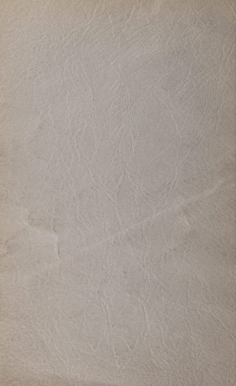 ' -• .. * . '••••>• -i \ • •$: - ; ■ 1 •f v - .■ ■ -V •;l -:>.vZ. .V  ’• • ,r > •;. ' » v ; - J - ■, ' '3 •*'’' JK45 ’ ' ■£*' ■ ' - '1’ ' > --V v / f ■ * ’ 1 i . > \ ‘ * ;n i. jv- ’• • **vj — ,• ■• ■ i, .»•■? ■ .> V • v • aY^V* ;j - x. S r>