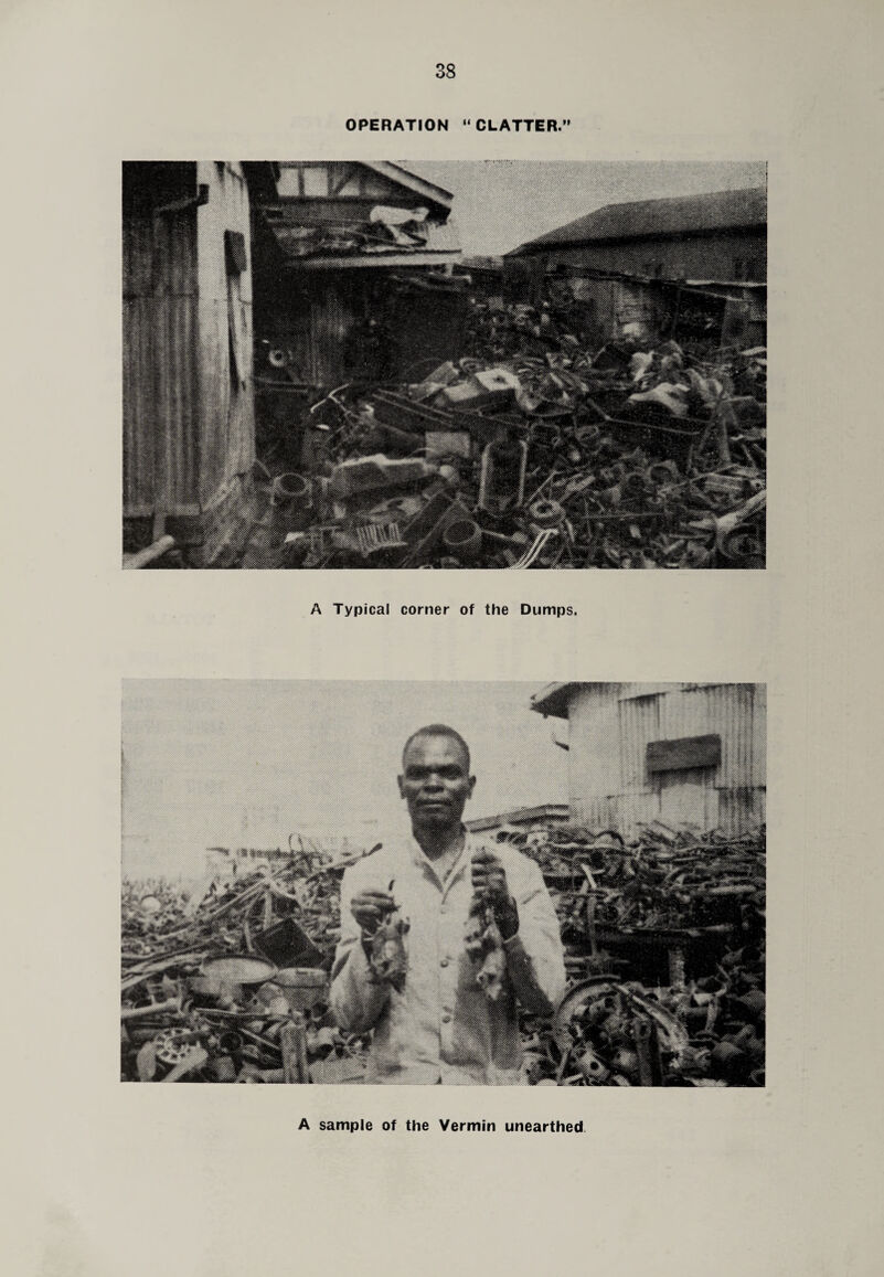 OPERATION “CLATTER.” A Typical corner of the Dumps. A sample of the Vermin unearthed