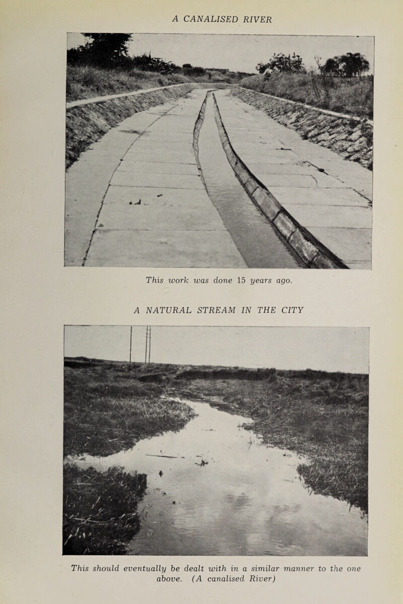 A CANALISED RIVER This work was done 15 years ago. A NATURAL STREAM IN THE CITY This should eventually he dealt with in a similar manner to the one above. (A canalised. River)