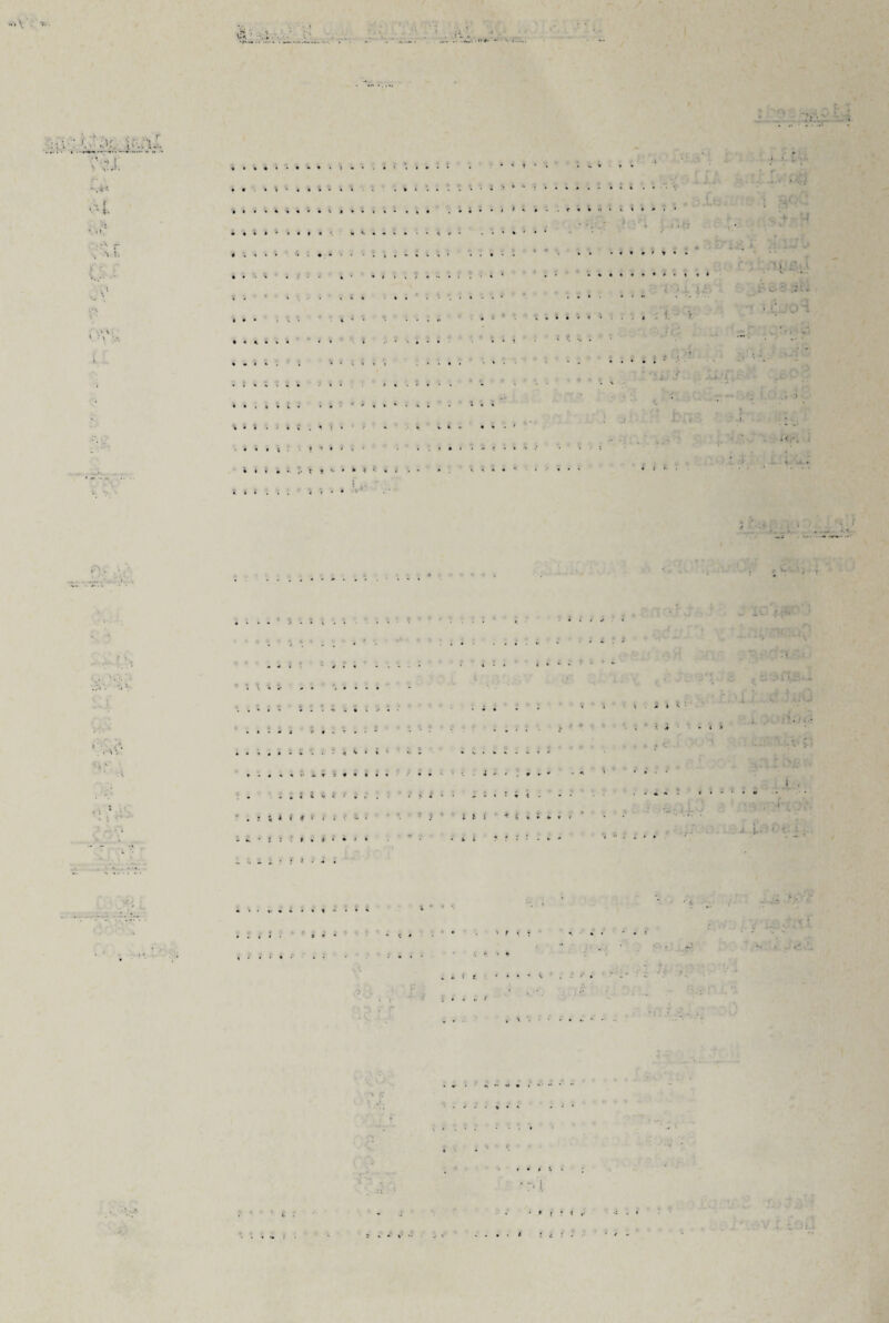 • - < • • . . • . <■ I • A * A *«• » » Y • • H ^ 4< » t • * * ' , i « * < * •
