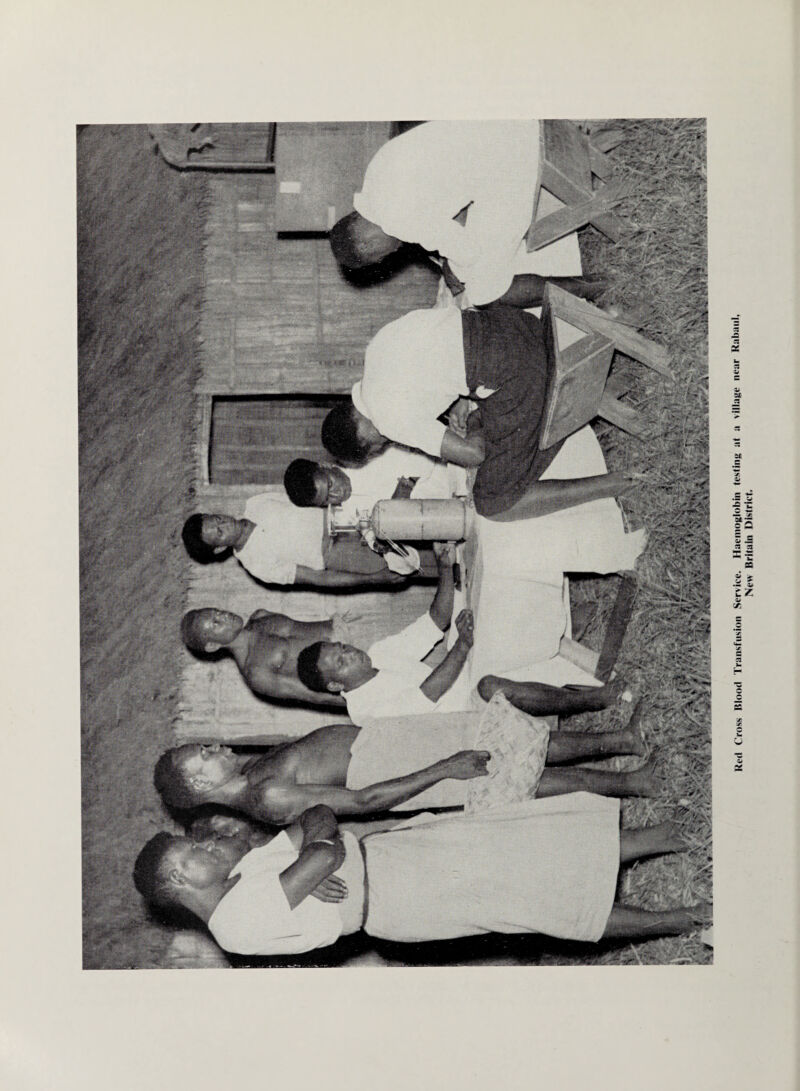 Red Cross Blood Transfusion Service. Haemoglobin testing at a village near Rabaul, New Britain District.