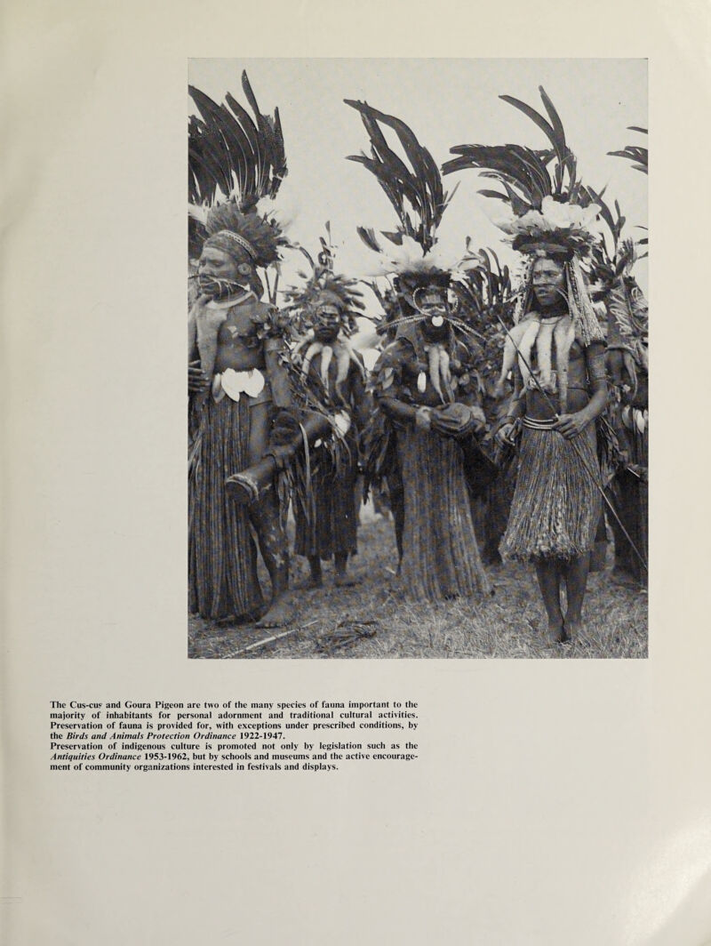 The Cus-cus and Goura Pigeon are two of the many species of fauna important to the majority of inhabitants for personal adornment and traditional cultural activities. Preservation of fauna is provided for, with exceptions under prescribed conditions, by the Birds and Animals Protection Ordinance 1922-1947. Preservation of indigenous culture is promoted not only by legislation such as the Antiquities Ordinance 1953-1962, but by schools and museums and the active encourage¬ ment of community organizations interested in festivals and displays.