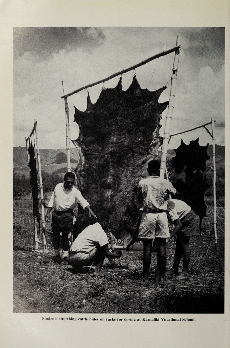 Students stretching cattle hides on racks for drying at Karnaliki Vocational School