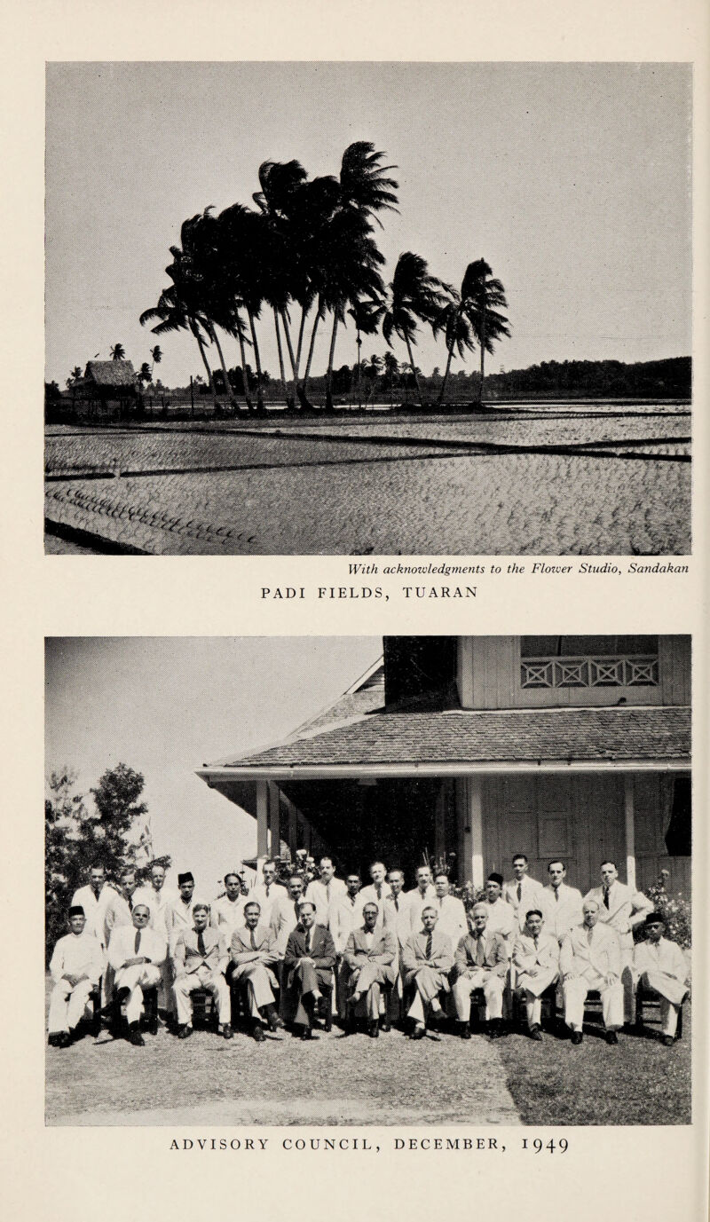 With acknowledgments to the Flower Studio, Sandakan PADI FIELDS, TUARAN