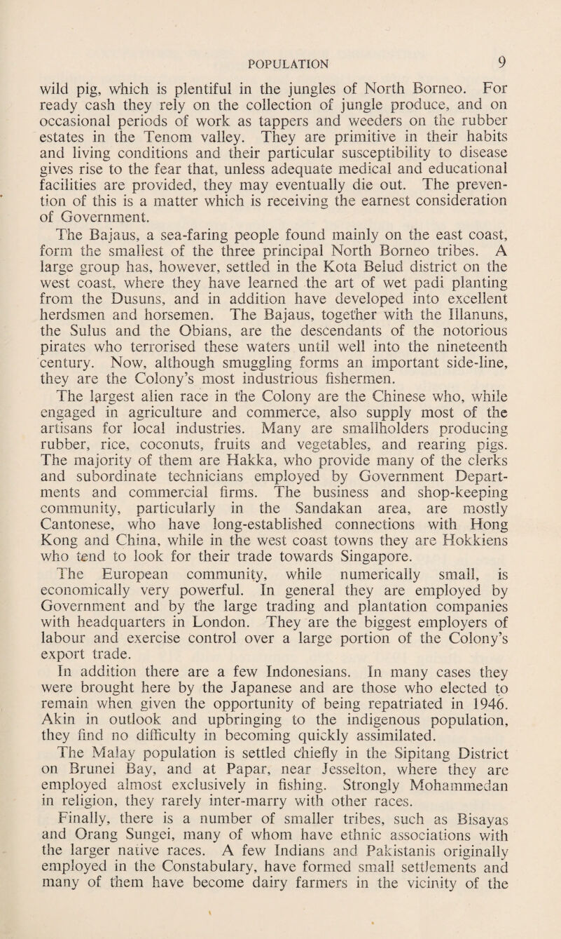 wild pig, which is plentiful in the jungles of North Borneo. For ready cash they rely on the collection of jungle produce, and on occasional periods of work as tappers and weeders on the rubber estates in the Tenom valley. They are primitive in their habits and living conditions and their particular susceptibility to disease gives rise to the fear that, unless adequate medical and educational facilities are provided, they may eventually die out. The preven¬ tion of this is a matter which is receiving the earnest consideration of Government. The Bajaus, a sea-faring people found mainly on the east coast, form the smallest of the three principal North Borneo tribes. A large group has, however, settled in the Kota Belud district on the west coast, where they have learned the art of wet padi planting from the Dusuns, and in addition have developed into excellent herdsmen and horsemen. The Bajaus, together with the Illanuns, the Sulus and the Obians, are the descendants of the notorious pirates who terrorised these waters until well into the nineteenth century. Now, although smuggling forms an important side-line, they are the Colony’s most industrious fishermen. The largest alien race in the Colony are the Chinese who, while engaged in agriculture and commerce, also supply most of the artisans for local industries. Many are smallholders producing rubber, rice, coconuts, fruits and vegetables, and rearing pigs. The majority of them are Hakka, who provide many of the clerks and subordinate technicians employed by Government Depart¬ ments and commercial firms. The business and shop-keeping community, particularly in the Sandakan area, are mostly Cantonese, who have long-established connections with Hong Kong and China, while in the west coast towns they are Hokkiens who tend to look for their trade towards Singapore. The European community, while numerically small, is economically very powerful. In general they are employed by Government and by the large trading and plantation companies with headquarters in London. They are the biggest employers of labour and exercise control over a large portion of the Colony’s export trade. In addition there are a few Indonesians. In many cases they were brought here by the Japanese and are those who elected to remain when given the opportunity of being repatriated in 1946. Akin in outlook and upbringing to the indigenous population, they find no difficulty in becoming quickly assimilated. The Malay population is settled chiefly in the Sipitang District on Brunei Bay, and at Papar, near Jesselton, where they are employed almost exclusively in fishing. Strongly Mohammedan in religion, they rarely inter-marry with other races. Finally, there is a number of smaller tribes, such as Bisayas and Orang Sungei, many of whom have ethnic associations with the larger native races. A few Indians and Pakistanis originally employed in the Constabulary, have formed small settlements and many of them have become dairy farmers in the vicinity of the