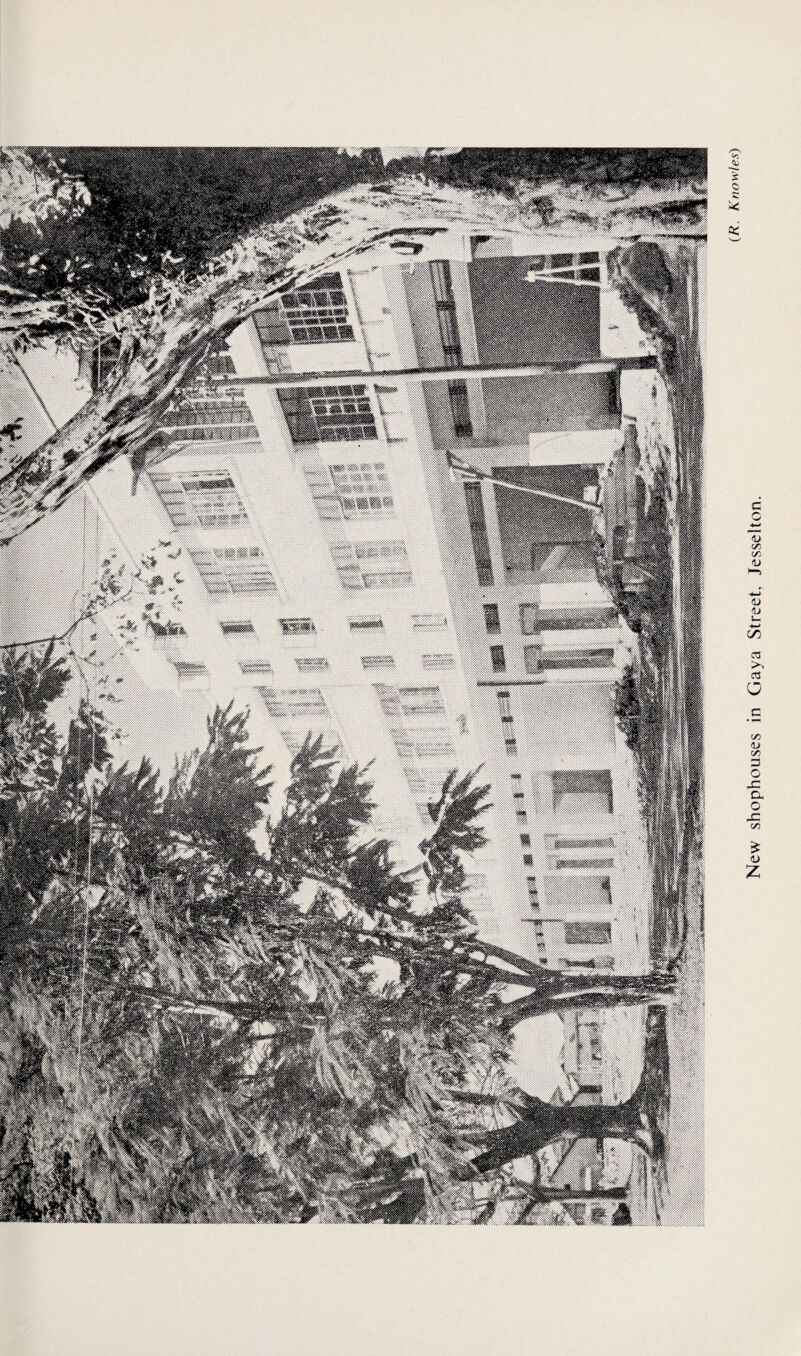 New shophouses in Gaya Street, Jesselton.