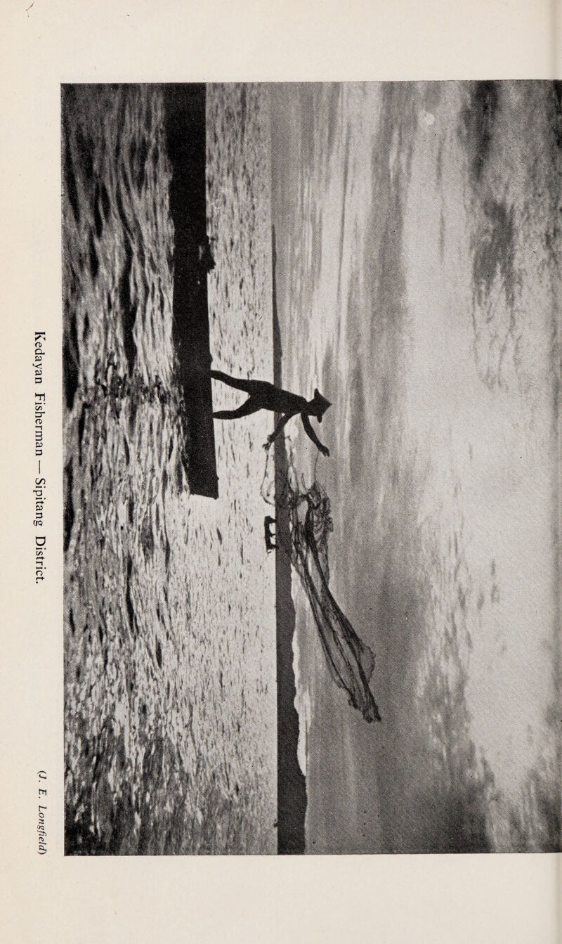 Kedayan Fisherman — Sipitang District. (J- E■ Longfieid)