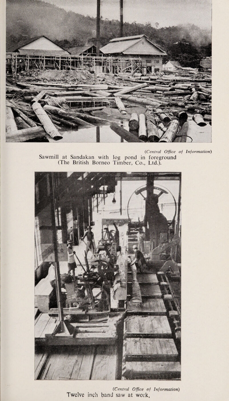 (Central Office of Information) Sawmill at Sandakan with log pond in foreground (The British Borneo Timber, Co., Ltd.). (Central Office of Information) Twelve inch band saw at work.