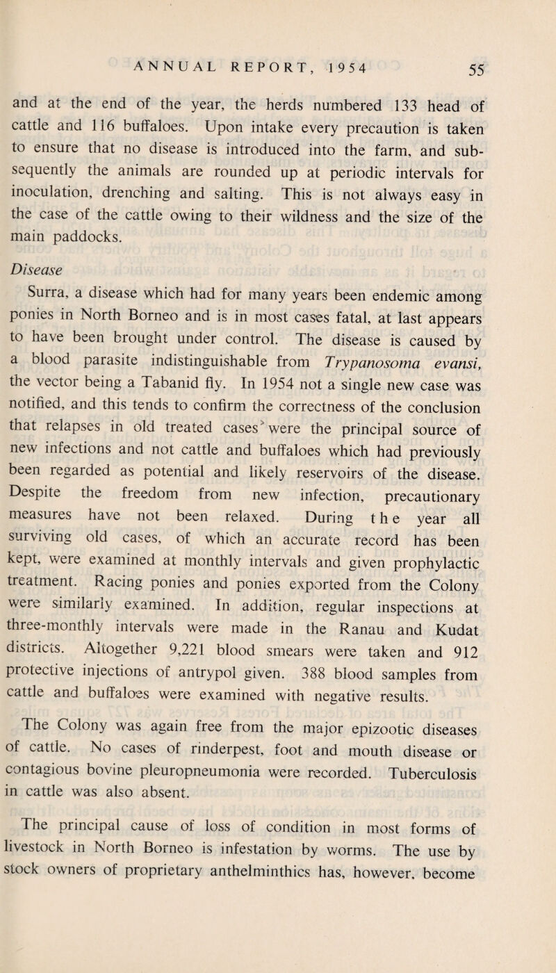 and at the end of the year, the herds numbered 133 head of cattle and 116 buffaloes. Upon intake every precaution is taken to ensure that no disease is introduced into the farm, and sub¬ sequently the animals are rounded up at periodic intervals for inoculation, drenching and salting. This is not always easy in the case of the cattle owing to their wildness and the size of the main paddocks. Disease Surra, a disease which had for many years been endemic among ponies in North Borneo and is in most cases fatal, at last appears to have been brought under control. The disease is caused by a olood parasite indistinguishable from Trypanosoma evansi, the vector being a rabanid fly. In 1954 not a single new case was notified, and this tends to confirm the correctness of the conclusion that relapses in old treated cases ^ were the principal source of new infections and not cattle and buffaloes which had previously been regarded as potential and likely reservoirs of the disease. Despite the freedom from new infection, precautionary measures have not been relaxed. During t h e year all surviving old cases, of which an accurate record has been kept, were examined at monthly intervals and given prophylactic treatment. Racing ponies and ponies exported from the Colony were similarly examined. In addition, regular inspections at three-monthly intervals were made in the Ranau and Kudat districts. Altogether 9,221 blood smears were taken and 912 protective injections of antrypol given. 388 blood samples from cattle and buffaloes were examined with negative results. The Colony was again free from the major epizootic diseases of cattle. No cases of rinderpest, foot and mouth disease or contagious bovine pleuropneumonia were recorded. Tuberculosis in cattle was also absent. The principal cause of loss of condition in most forms of livestock in North Borneo is infestation by worms. The use by stock owners of proprietary anthelminthics has, however, become