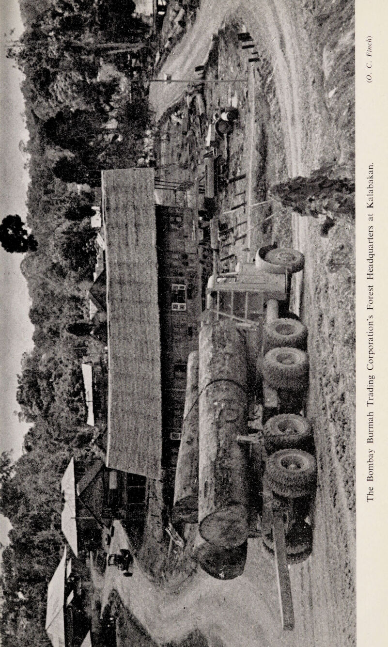 Mm I The Bombay Burmah Trading Corporation's Forest Fleadquarters at Kalabakan. c• Finch)