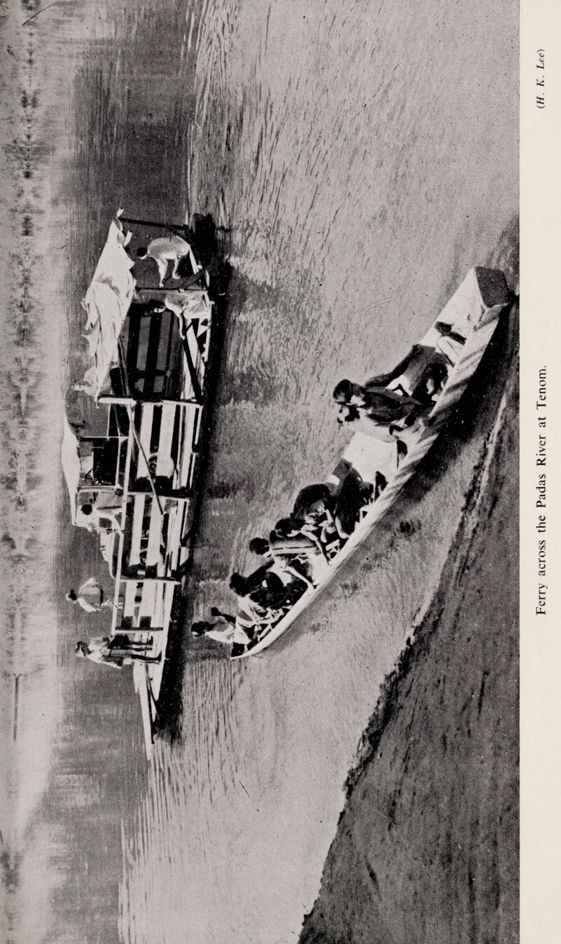 Ferry across the Padas River at Tenom. (H. K. Lee)