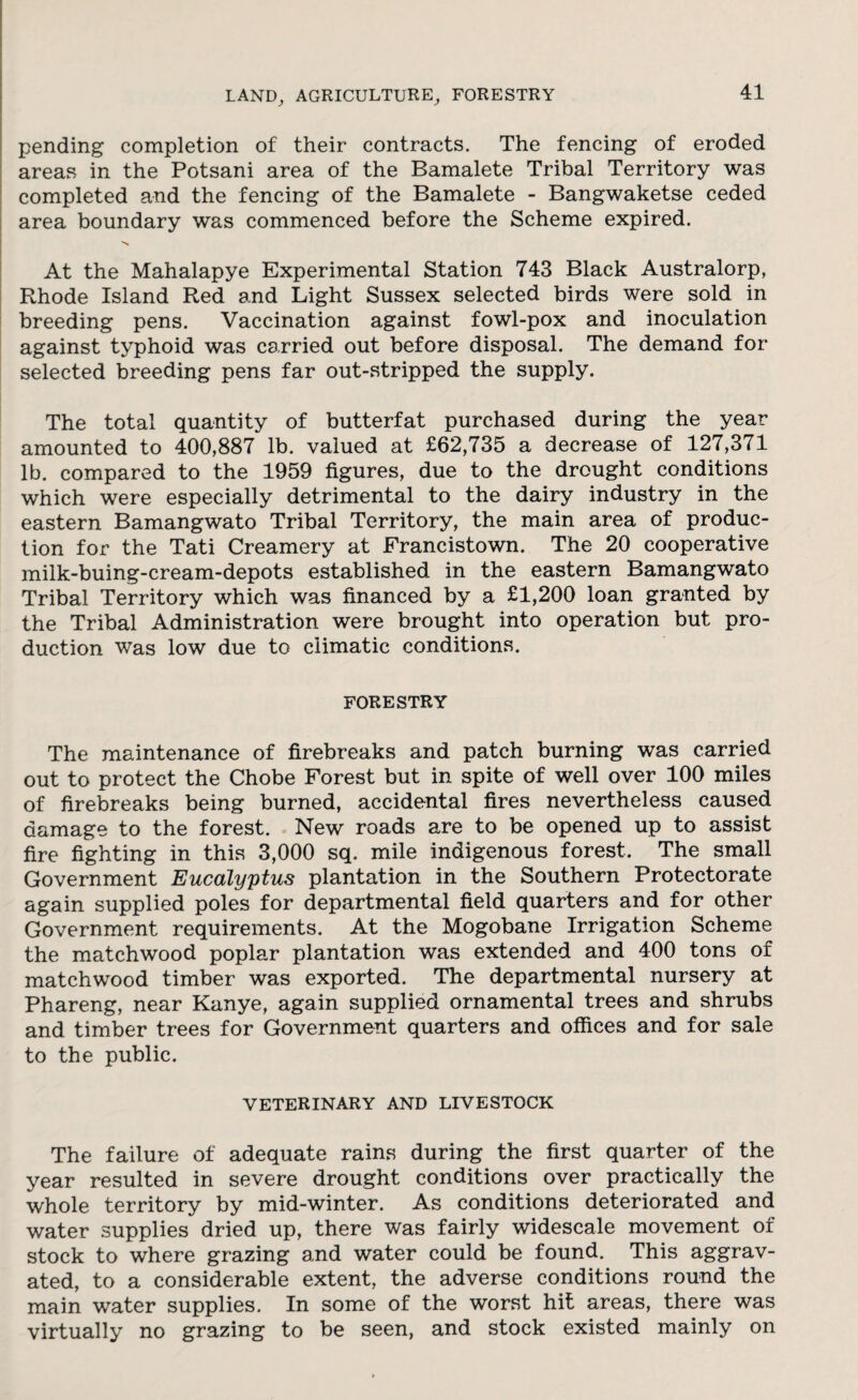 pending completion of their contracts. The fencing of eroded areas in the Potsani area of the Bamalete Tribal Territory was completed and the fencing of the Bamalete - Bangwaketse ceded area boundary was commenced before the Scheme expired. •> At the Mahalapye Experimental Station 743 Black Australorp, Rhode Island Red and Light Sussex selected birds were sold in breeding pens. Vaccination against fowl-pox and inoculation against typhoid was carried out before disposal. The demand for selected breeding pens far out-stripped the supply. The total quantity of butterfat purchased during the year amounted to 400,887 lb. valued at £62,735 a decrease of 127,371 lb. compared to the 1959 figures, due to the drought conditions which were especially detrimental to the dairy industry in the eastern Bamangwato Tribal Territory, the main area of produc¬ tion for the Tati Creamery at Francistown. The 20 cooperative miik-buing-cream-depots established in the eastern Bamangwato Tribal Territory which was financed by a £1,200 loan granted by the Tribal Administration were brought into operation but pro¬ duction was low due to climatic conditions. FORESTRY The maintenance of firebreaks and patch burning was carried out to protect the Chobe Forest but in spite of well over 100 miles of firebreaks being burned, accidental fires nevertheless caused damage to the forest. New roads are to be opened up to assist fire fighting in this 3,000 sq. mile indigenous forest. The small Government Eucalyptus plantation in the Southern Protectorate again supplied poles for departmental field quarters and for other Government requirements. At the Mogobane Irrigation Scheme the matchwood poplar plantation was extended and 400 tons of matchwood timber was exported. The departmental nursery at Phareng, near Kanye, again supplied ornamental trees and shrubs and timber trees for Government quarters and offices and for sale to the public. VETERINARY AND LIVESTOCK The failure of adequate rains during the first quarter of the year resulted in severe drought conditions over practically the whole territory by mid-winter. As conditions deteriorated and water supplies dried up, there was fairly widescale movement of stock to where grazing and water could be found. This aggrav¬ ated, to a considerable extent, the adverse conditions round the main water supplies. In some of the worst hit areas, there was virtually no grazing to be seen, and stock existed mainly on