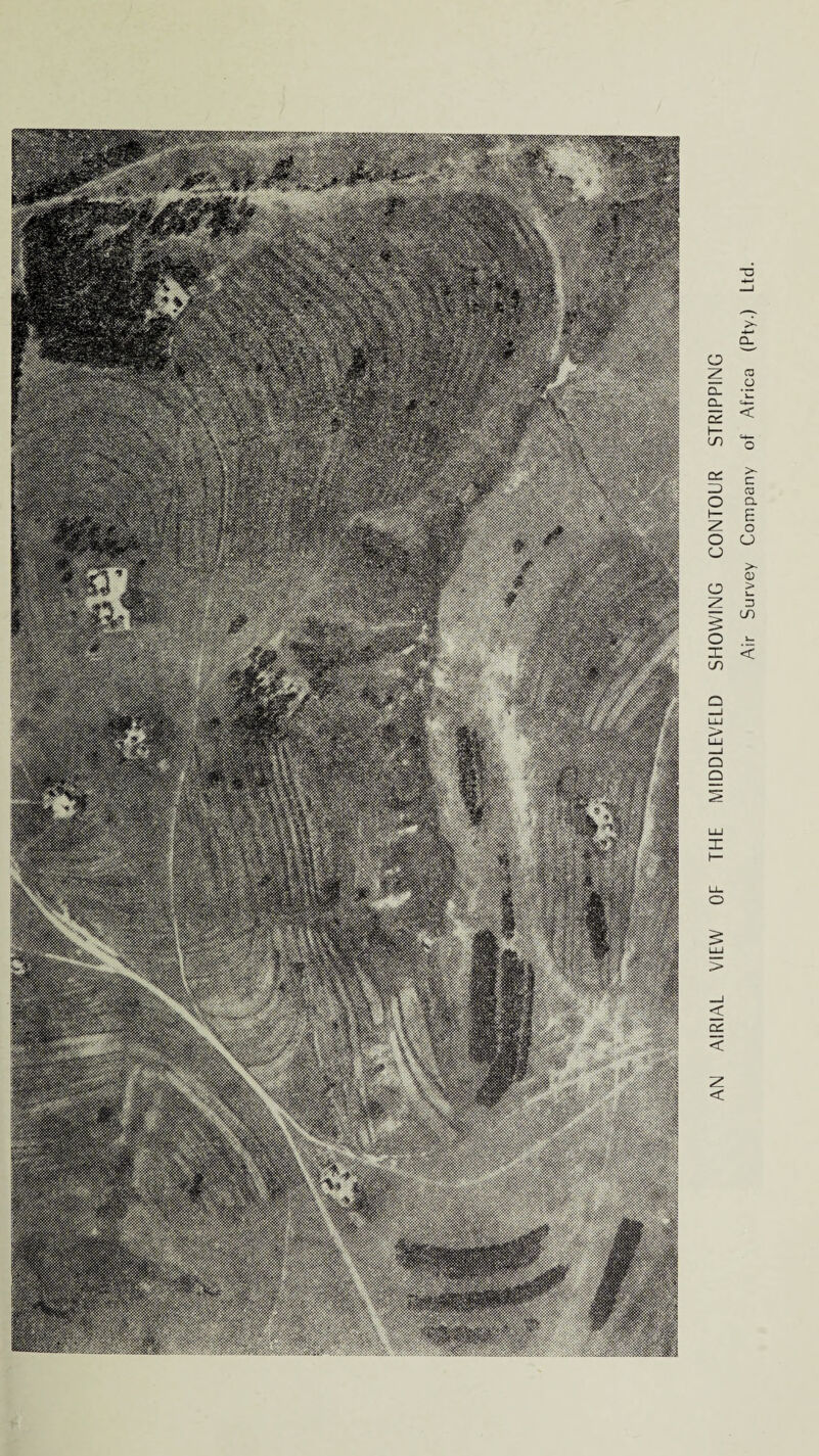 AN AIRIAL VIEW OF THE MIDDLEVELD SHOWING CONTOUR STRIPPING Air Survey Company of Africa (Pty.) Ltd.