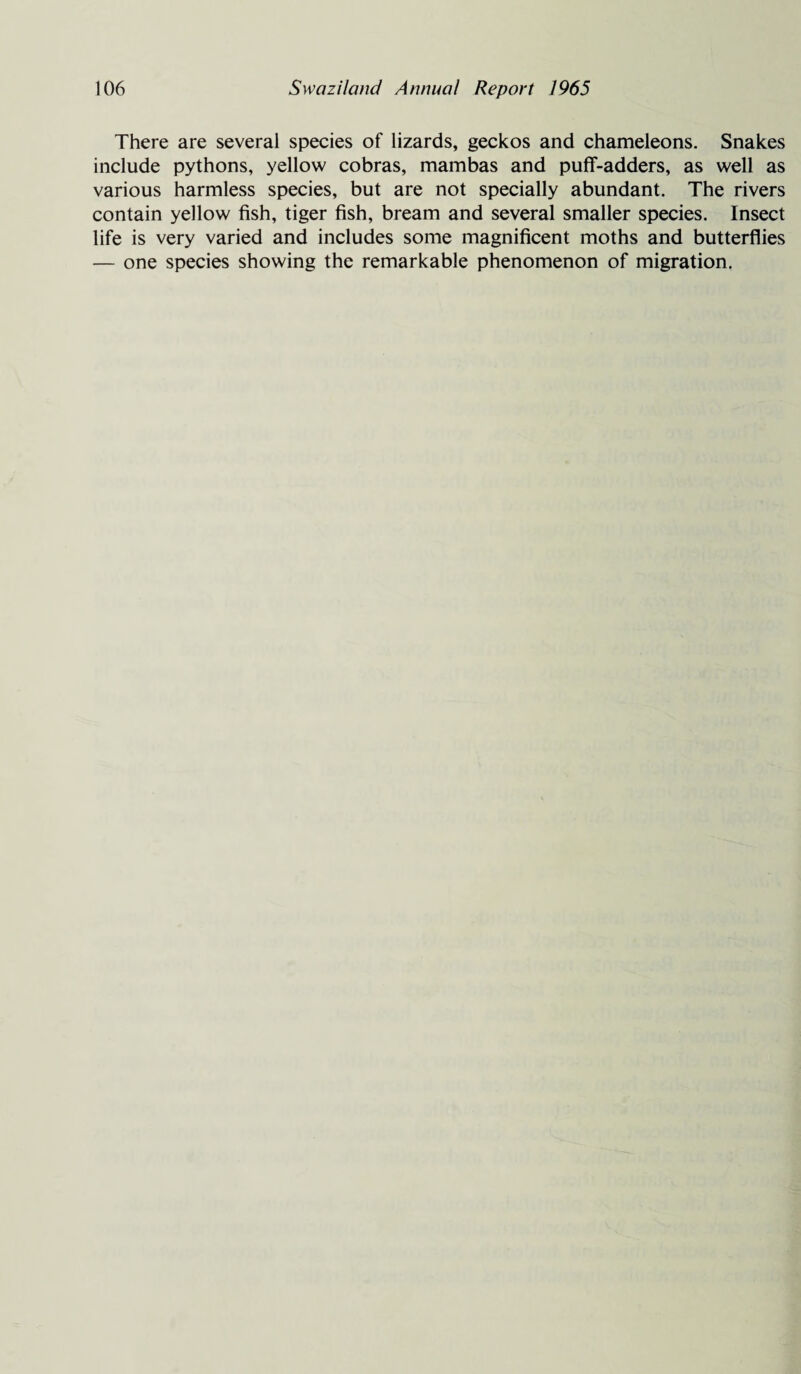 There are several species of lizards, geckos and chameleons. Snakes include pythons, yellow cobras, mambas and puff-adders, as well as various harmless species, but are not specially abundant. The rivers contain yellow fish, tiger fish, bream and several smaller species. Insect life is very varied and includes some magnificent moths and butterflies — one species showing the remarkable phenomenon of migration.