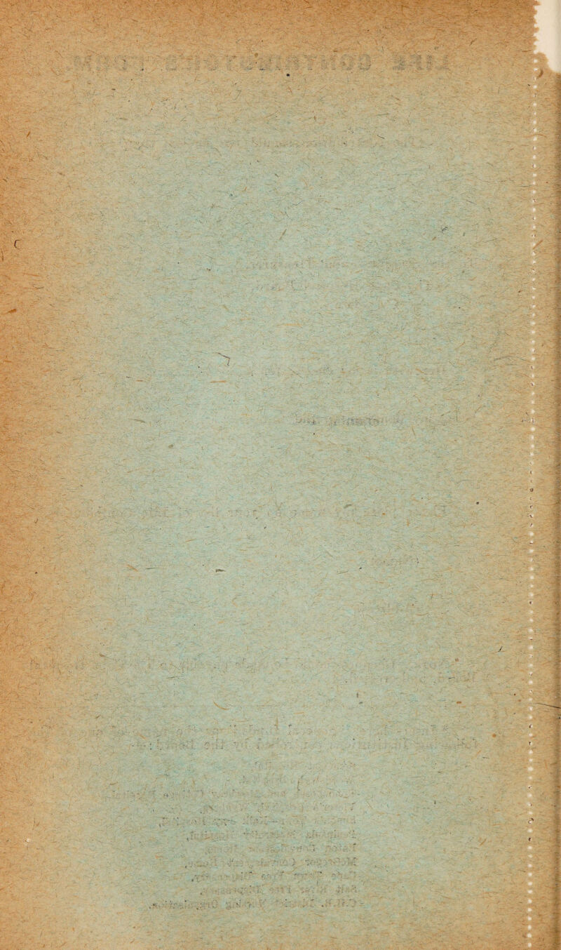 y_ ■ -5' ' X W* . ■