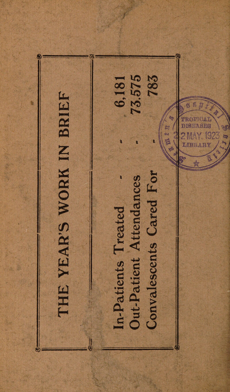 THE YEAR S WORK IN BRIEF If -T