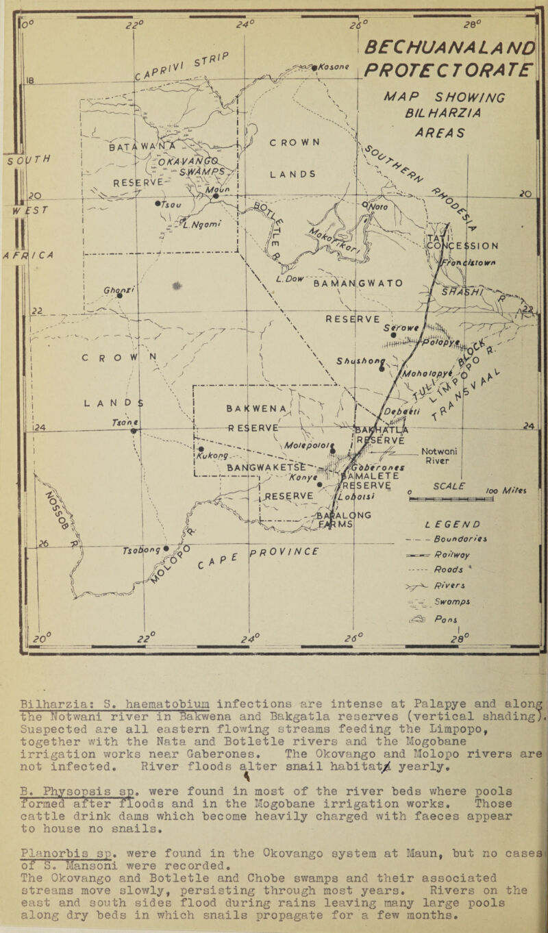 Bilharzia: S. haematobium infections are intense at Palapye and along the Notwani river in Bakwena and Bakgatla reserves (vertical shading/* Suspected are all eastern flowing streams feeding the Limpopo, together with the Nata and Botletle rivers and the Mogobane irrigation works near Gaberones. The Okovango and Molopo rivers are not infected. River floods alter snail habitat^. yearly. B. Physopsis sp. were found in most of the river beds where pools formed after floods and in the Mogobane irrigation works. Those cattle drink dams which become heavily charged with faeces appear to house no snails. Planorbis sp. were found in the Okovango system at Maun, but no cases, of S. Ivlansoni were recorded. The Okovango and Botletle and Chobe swamps and their associated streams move slowly, persisting through most years. Rivers on the east and south sides flood during rains leaving many large pools along dry beds in which snails propagate for a few months.