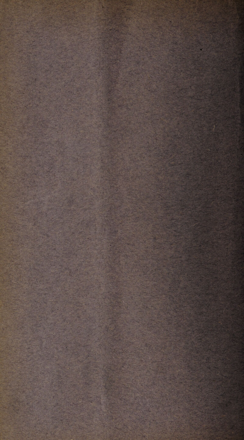 •■ • , -c t&gr-s? *vi .>€>T&yS ■ - . . -■ - r- -.- • - *«• *..-■ ■■■■&. ->.*J ■ i -• - _ *• ■ • . • ' - - - ->7*' -r; V-- • v>T- /■- 4 ■• ' • - :. - •: ■ . • .;. •- y- .;- ^ .v, ''■ - • ,'v;i . V-' ■ - /-'yjs-v^- .: ^ ', •.£•>•-• r V ,>f • . -• ■ 3.,\ ysws: .... -V w-f :•.;V • >•.‘ . . J*z°- —- :JW$5b ■ W-‘