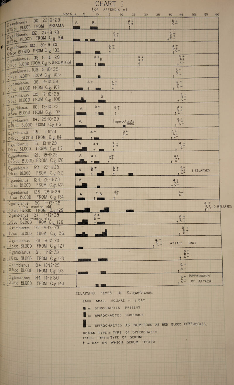 f DAYS' CHART I (of appendix a) 15 10 20 25 30 35 40 45 50 55 60 22-9-29 Ci ' BLOOD FROM BRIAMA , a r a + b 4- A D b 4- C - M Mi t >^us. IOZ. 27-9-29 J76grr BLOOD FROM C.g. 101. , a •+- a +• b -4 D 4- hu m h.t . 7C~ ’T^^anibianus. 103. 30- 9 29 RLOOO FROM C.g 102 a 4- a 4- b *b b 4- SSL HU t tc_ _ 7F-Trrnbianu&^ 105- 5’10 29 glC RIOOD FROM Off.6.(FROM 103) a+r a 4- \+ B b 4 h + HBB .....t SHU t ... t c~ 'pFjnibianus. 106. 9‘10 <c9- 0tr BLOOD FROM C.g. 105- <0L + b *f m a_ ___ t V -- Y^rribianijs 108. I4'10‘29. p.'L BLOOD FROM C.g. 107 a 4- a *t* a. 4- b t D 4 mm t saa i_t ~ _ TTambianus 103' 17-10' 23 n.L BLOOD FROM C.g. 108 n cL 4- _ 6 b + MM t c~ Cgambianus HO. 19‘I029 nTec BLOOD FROM C.g. 109 A &4- a 4- a + A b+ b -f- mum tm .t.: . . 7c- -1 Cgambianus 114. 23 10 29 075cc BLOOD FROM C.g. 113 2L ~~b~ A 1 spirochaete b-f — SHSI H.Seen. 7 C C.gambianus H5* 1 H ^ n-75cc 5L00D FROM C.g Ii4 a 4- a 4- a + b+ b-f sa_7_esk_i-iSl Cgambianus 118. 10ML 23 0-6 cc BLOOD FROM C.g. 117 A a+ a+ t a t-7—J Cgambianus 12!. 19*11-29 075 cc BLOOD FROM C.g. 120 A a + a+ a-f mm ^4* h + pmMm t mm . t . . ... 1.5.7. . C.gambianus. 123. 23~lb29 0‘5 cc BLOOD FROM C.g. i22 A a 4- a 4- a*R A C — b-f bj 2.RELAPSES pen t GSgi t_m. .... .. ..~_1.C + ... Cgambianus 124/ 25TL23 0-5 cc BLOOD FROM C.g. 123 Cgambianus 125. 28ll29 1-0 cc BLOOD FROM C.g 124 A + B bt £2 mem + rubs t . .. Cgambianus 36 1” 12' 29 a few months old. 0*5-cc BLOOD FROM C.g.125 a + MiH pH . .t-._- C.gambianus 37 1 12 23 a few months old. 03cc BLOOD FROM C.g. 125 j* + a + -TUI 101 b 4“ fwli t hob ... ..LFli--i C gambianus 127. 4-12- 23 1-0 cc BLOOD FROM C.g. 38 ' \ + mmM' . . -1 — C.gambianus 128. 6‘IZ 29 05 cc BLOOD FROM C.g. 127 a *4* b ~ ATTACK ONLY mat _ _1-——- Cgambianus 131. !M229 20cc BLOOD FROM C.g. 129 a + b + Cgambianus 134. 1912“29 0'5cc BLOOD FROM C.g. 133 a 4- '« wm ...-———t-- Cgambianus 144. 14-1*30 0'5cc- BLOOD FROM C.g. 143 a+ SUPPRESSION ct OF ATTACK h on _-—1- RELAPSING FEVER IN C.gambianus. EACH SMALL SQUARE = l DAY ■ = SPIROCHAETES PRESENT I =r SPIROCHAETES NUMEROUS I _ SPIROCHAETES AS NUMEROUS AS RED BLOOD CORPUSCLES ROMAN TYPE = TYPE OF SPIROCHAETE ITALIC TYPE = TYPE OF SERUM t « DAY ON WHICH SERUM TESTED.