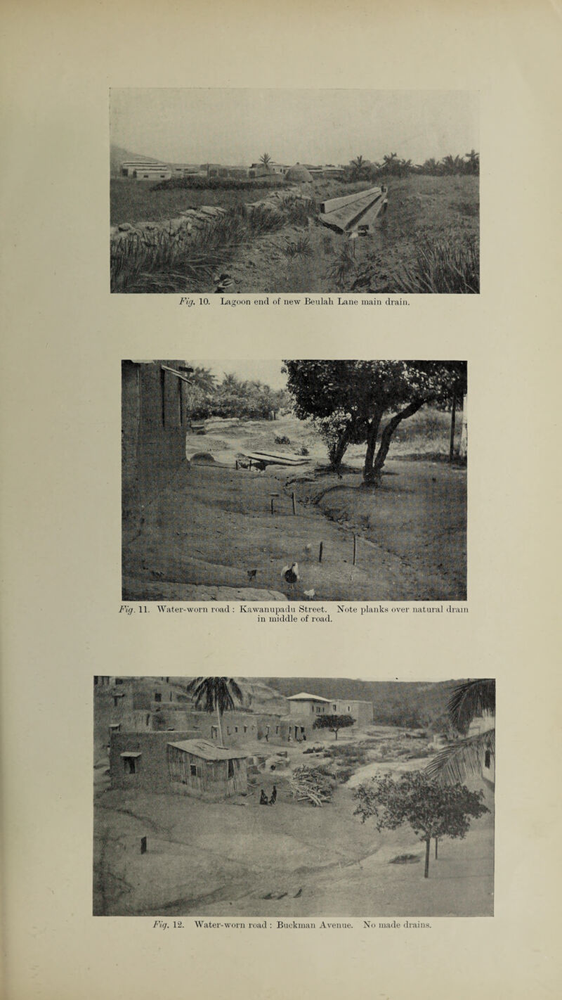 Fig. 11. Water-worn road : Kawanupadu Street. Note planks over natural drain in middle of road. Fig. 12. Water-worn road : Buckman Avenue. No made drains.