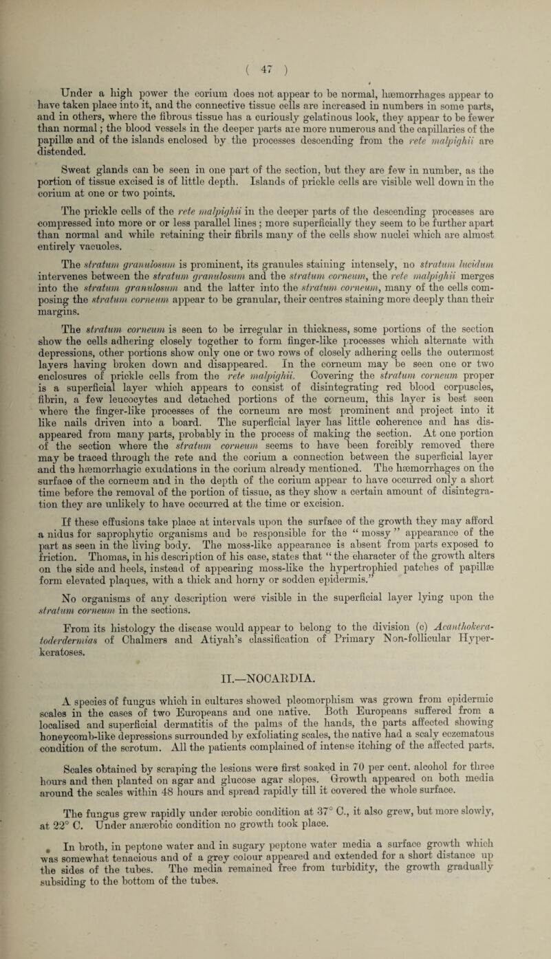 Under a high power the corium does not appear to be normal, haemorrhages appear to have taken place into it, and the connective tissue cells are increased in numbers in some parts, and in others, where the fibrous tissue has a curiously gelatinous look, they appear to be fewer than normal; the blood vessels in the deeper parts are more numerous and the capillaries of the papillae and of the islands enclosed by the processes descending from the rete malpighii are distended. Sweat glands can be seen in one part of the section, but they are few in number, as the portion of tissue excised is of little depth. Islands of prickle cells are visible well down in the corium at one or two points. The prickle cells of the rete malpighii in the deeper parts of the descending processes are compressed into more or or less parallel lines ; more superficially they seem to be further apart than normal and while retaining their fibrils many of the cells show nuclei which are almost entirely vacuoles. The stratum granulosum is prominent, its granules staining intensely, no stratum luciclum intervenes between the stratum granulosum and the stratum corneum, the rete malpighii merges into the stratum granulosum and the lafter into the stratum corneum, many of the cells com¬ posing the stratum corneum appear to be granular, their centres staining more deeply than their margins. The stratum corneum is seen to be irregular in thickness, some portions of the section show the cells adhering closely together to form finger-like processes which alternate with depressions, other portions show only one or two rows of closely adhering cells the outermost layers having broken down and disappeared. In the corneum may be seen one or two enclosures of prickle cells from the rete malpighii. Covering the stratum corneum proper is a superficial layer which appears to consist of disintegrating red blood corpuscles, fibrin, a few leucocytes and detached portions of the corneum, this layer is best seen where the finger-like processes of the corneum are most prominent and project into it like nails driven into a board. The superficial layer has little coherence and has dis¬ appeared from many parts, probably in the process of making the section. At one portion of the section where the stratum corneum seems to have been forcibly removed there may be traced through the rete and the corium a connection between the superficial layer and the haemorrhagic exudations in the corium already mentioned. The haemorrhages on the surface of the corneum and in the depth of the corium appear to have occurred only a short time before the removal of the portion of tissue, as they show a certain amount of disintegra¬ tion they are unlikely to have occurred at the time or excision. If these effusions take place at internals upon the surface of the growth they may afford a nidus for saprophytic organisms and be responsible for the “ mossy ” appearance of the part as seen in the living body. The moss-like appearance is absent from parts exposed to friction. Thomas, in his description of his case, states that “ the character of the growth alters on the side and heels, instead of appearing moss-like the hypertrophied patches of papillae form elevated plaques, with a thick and horny or sodden epidermis.” No organisms of any description were visible in the superficial layer lying upon the stratum corneum in the sections. From its histology the disease would appear to belong to the division (c) Acanthokera- toderdermias of Chalmers and Atiyah’s classification of Primary Non-follicular Hyper¬ keratoses. II.—NOCARDIA. A species of fungus which in cultures showed pleomorphism was grown from epidermic scales in the cases of two Europeans and one native. Both Europeans suffered from a localised and superficial dermatitis of the palms of the hands, the parts affected showing honeycomb-like depressions surrounded by exfoliating scales, the native had a scaly eczematous condition of the scrotum. All the patients complained of intense itching of the affected parts. Scales obtained by scraping the lesions were first soaked in 70 per cent, alcohol for three hours and then planted on agar and glucose agar slopes. Growth appeared on both media around the scales within 48 hours and spread rapidly till it covered the whole surface. The fungus grew rapidly under aerobic condition at 4 < C., it also grew, but more slowly, at 22° C. Under anaerobic condition no growth took place. In broth, in peptone water and in sugary peptone water media a surface growth which was somewhat tenacious and of a grey colour appeared and extended for a shoit distance up the sides of the tubes. The media remained free from turbidity, the growth gradually subsiding to the bottom of the tubes.