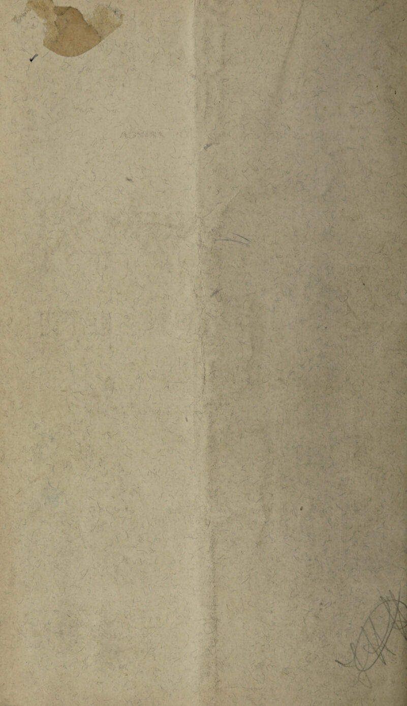 ■\ . <’ v ;■.- ■L'. ' v ••//'. . \ ■--■ \~ : w 7 / - ' ' *. ■*, V^~ N«* - I' »A ■ . < .J \\ ~ v , , ! /v. r' •-• ■•• • , ' / - * • . s*- V, 1 v *H-—- \ /' ' • V. . . ,i T -• • ■ y- u ***, .**•»' •*. ~< V _ • <*t. 1 iflKSB <* . ■ f- k‘ •I.' , ■ J r.-'Y'. > ;> k, ' fir ■ ' rT - . - . all ; t 1, / ■. : - ■ ./ . - ■ , 1 K \ X ? 1 'u \ $ -S .f>v j ' • / !<* 'C - j ~ / «- •• v ■ - J V . > ' ' r ■, ,.<v. I|am \ - - / ; r - . K J', ** v. ' / ' ■ ' -V ' / ,f *, ^ ,;• 1 V. ■ ! ^ . . , . - ' l .. ) i V i f\ ^ } ' •, r f ' -V. ■ . yfc.TK —V 1 ' , -- ' . ’3? - . * W ;? • v i ■ - * c Lift . • ' ’ / N , - - ‘ j ' ' ' SJ r -- ”• •• , . \ -I * S' ,v il * rr* , x.i rr.J. • • 1 ■ > : v'!? ■ • • • , ■ ■ . ^ ^ r . . . ■ ■ V-J .. , '*sy ■ / ■ / % ?' & A / \ Vv Ki c'-' X r- ■ ■