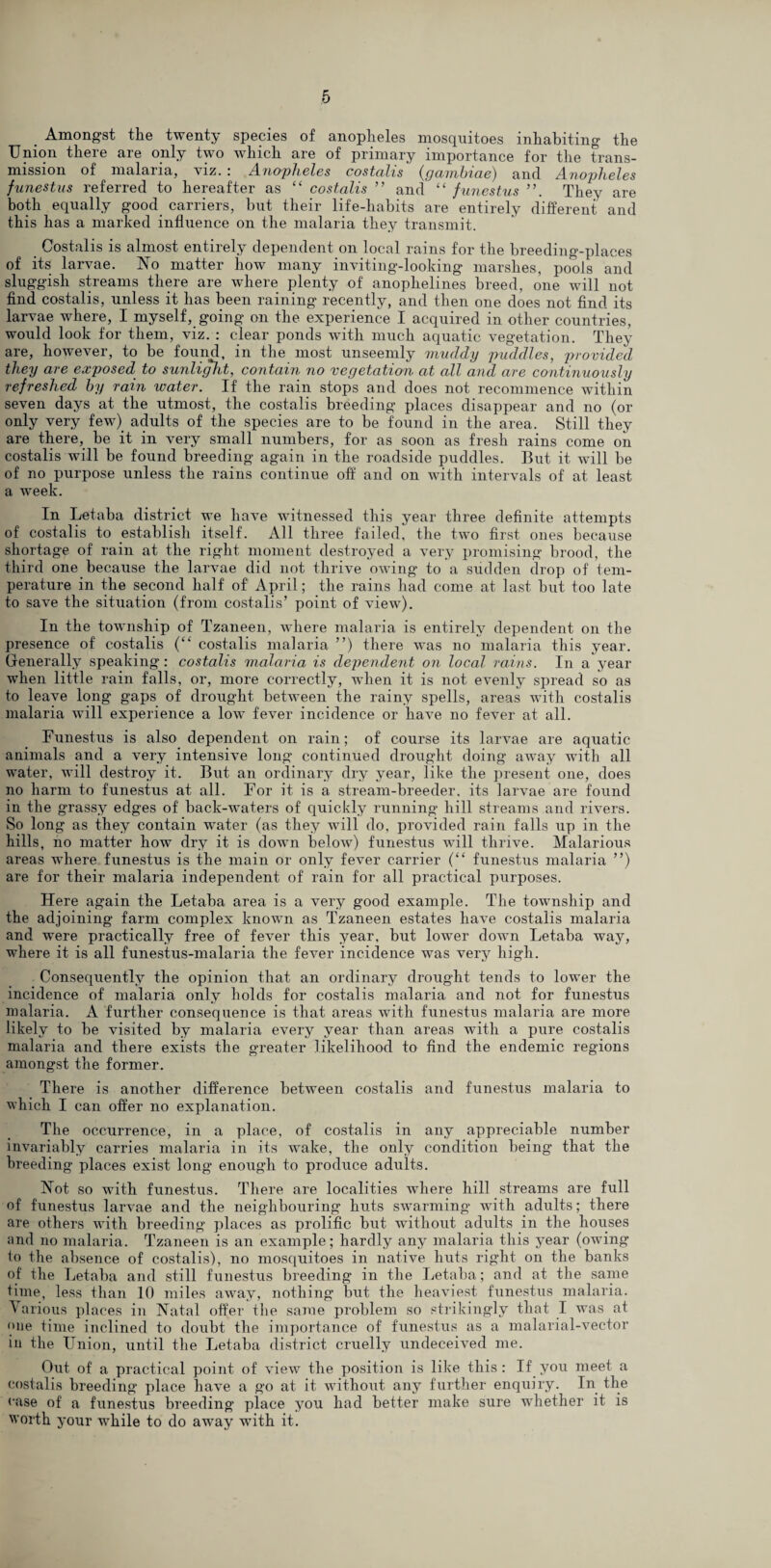 . Amongst the twenty species of anopheles mosquitoes inhabiting the Union there are only two which are of primary importance for the trans¬ mission of malaria, viz. : Anopheles costalis (gambiae) and Anopheles funestus referred to hereafter as “ costalis ” and “ funestus ”. They are both equally good carriers, but their life-habits are entirely different and this has a marked influence on the malaria they transmit. Costalis is almost entirely dependent on local rains for the breeding-places of its larvae. No matter how many inviting-looking marshes, pools and sluggish streams there are where plenty of anophelines breed, one will not find costalis, unless it has been raining recently, and then one does not find its larvae where, I myself, going on the experience I acquired in other countries, would look for them, viz. : clear ponds with much aquatic vegetation. They are, however, to be found, in the most unseemly muddy puddles, provided they are exposed to sunlight, contain no vegetation at all and are continuously refreshed by rain water. If the rain stops and does not recommence within seven days at the utmost, the costalis breeding places disappear and no (or only very few), adults of the species are to be found in the area. Still they are there, be it in very small numbers, for as soon as fresh rains come on costalis will be found breeding again in the roadside puddles. But it will be of no purpose unless the rains continue off and on with intervals of at least a week. In Letaba district we have witnessed this year three definite attempts of costalis to establish itself. All three failed, the two first ones because shortage of rain at the right moment destroyed a very promising brood, the third one because the larvae did not thrive owing to a sudden drop of tem¬ perature in the second half of1 April; the rains had come at last but too late to save the situation (from costalis’ point of view). In the township of Tzaneen, where malaria is entirely dependent on the presence of costalis (“ costalis malaria ”) there was no malaria this year. Generally speaking : costalis malaria is dependent on local rains. In a year when little rain falls, or, more correctly, when it is not evenly spread so as to leave long gaps of drought between the rainy spells, areas with costalis malaria will experience a low fever incidence or have no fever at all. Funestus is also dependent on rain; of course its larvae are aquatic animals and a very intensive long continued drought doing away with all water, will destroy it. But an ordinary dry year, like the present one, does no harm to funestus at all. For it is a stream-breeder, its larvae are found in the grassy edges of back-waters of quickly running hill streams and rivers. So long as they contain water (as they will do, provided rain falls up in the hills, no matter how dry it is down below) funestus will thrive. Malarious areas where funestus is the main or only fever carrier (“ funestus malaria ”) are for their malaria independent of rain for all practical purposes. Here again the Letaba area is a very good example. The township and the adjoining farm complex known as Tzaneen estates have costalis malaria and were practically free of fever this year, but lowrer down Letaba way, where it is all funestus-malaria the fever incidence was very high. Consequently the opinion that an ordinary drought tends to lower the incidence of malaria only holds for costalis malaria and not for funestus malaria. A further consequence is that areas with funestus malaria are more likely to be visited by malaria every year than areas with a pure costalis malaria and there exists the greater likelihood to find the endemic regions amongst the former. There is another difference between costalis and funestus malaria to which I can offer no explanation. The occurrence, in a place, of costalis in any appreciable number invariably carries malaria in its wrake, the only condition being’ that the breeding places exist long enough to produce adults. Not so with funestus. There are localities where hill streams are full of funestus larvae and the neighbouring huts swarming with adults; there are others with breeding places as prolific but without adults in the houses and no malaria. Tzaneen is an example; hardly any malaria this year (owing to the absence of costalis), no mosquitoes in native huts right on the banks of the Letaba and still funestus breeding in the Letaba; and at the same time, less than 10 miles away, nothing but the heaviest funestus malaria. Various places in Natal offer the same problem so strikingly that I was at lie time inclined to doubt the importance of funestus as a malarial-vector in the Union, until the Letaba district cruelly undeceived me. Out of a practical point of view the position is like this: If. you meet a costalis breeding place have a go at it without any further enquiry. In the case of a funestus breeding place you had better make sure whether it is worth your while to do away writh it.