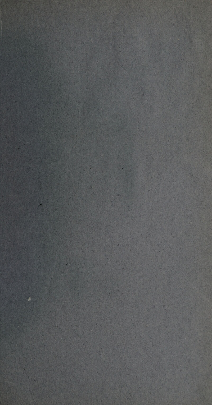 «fl9r?»‘ %t -raty ;.tA ■ ,, f. . s ’ . ■ t ■ ■ v.;- }-K ' ■•—•■■, 5=41^. \ •'■ ■ ;‘v . «•' ■:* •, ' 3 • #7; % • • / ■ . > •„ > -7/ • 7 , , ' ' . ' ; y. ' • , ., , 7 '•: vy• ' 7V yvy '-777 ■ . ; -v .-■?■, . -v. ;!'■■ . . ■ ... ■ ■ / 'HOT ' fi ' • » V . , M ■ '• < ,j}, ■* ' ,* . ’ ■ » ■ ’/** -- ' • <*•-/» Us. • >;' *..*/; ' 7i ** ^ i ■% ■ • ‘ ' ' ,> *2 WV Y'ii. fcjjkAl1 i ’' v ‘i 4, ' * '-k ’•• v »*. r' • -v - : . i y y • •' !'t • • ; •>*.' ‘ ■ • , 4 . ■ ; . ■ ... » - # ■■■■ 3 :}f- i ' ' • 3 . V- . *v- ■ „ • ' , ■;  i) ■ : . ; a; ■ ' ' ■ . A.:. ■ 'AAiV': '•> '■■ f;i'’.VA •’ 'yi: v 'v •„ . ■ • r ’ ■ . / •• , , ■ ' ■ ■ . . ■■ ' • ••’* : ■ -A '■ ■ , ■ /7 / ■ }} ■: >< ■ • ri >'•* 7 \ > ■. K . • 1. V • • .. t . ■ ■ ,> Up: -'A- ;;;*•■• ■ ;i c j <:• *■/■•• - . v V ; • , V* “ ' r ?. .-. . ■ ■' . . ' ■ - '■ k •... 7- v ••• / .v 1.,„ ■ . ■ §iv.*’ffer'V;V' . £ . 7 3 7 ■ •- -tv' - . v'' ■ V 7 V7\A ,v • ■ 4 ri-.,T]., ..T1|, . A-.- A i .‘?v:. . .• -7. . ' 'A: .'V •• f f , ■ i • -i ; ; - 1' *•■ v: > • ' . ,'  . 7 ’ \J .■an .'••y1 •••A; . v-'y.p -A- ’ i'v. ;v'A--.. ' • . -. : . slj((h '• <“r|y 5 . 5,' ' ■. . , - •/, • \ - . * :'v?C-\'V''