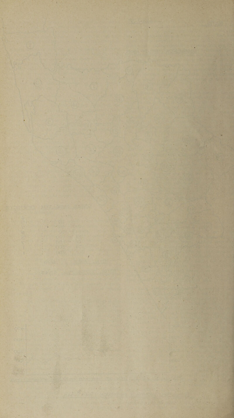 - • • -1 ■ - V ' . ■ . ' ^ . - . . - . • . . ■ r ■ . ■ • - . . ' * ’ • V r . ■ . ' . ■ . ■ . it ■