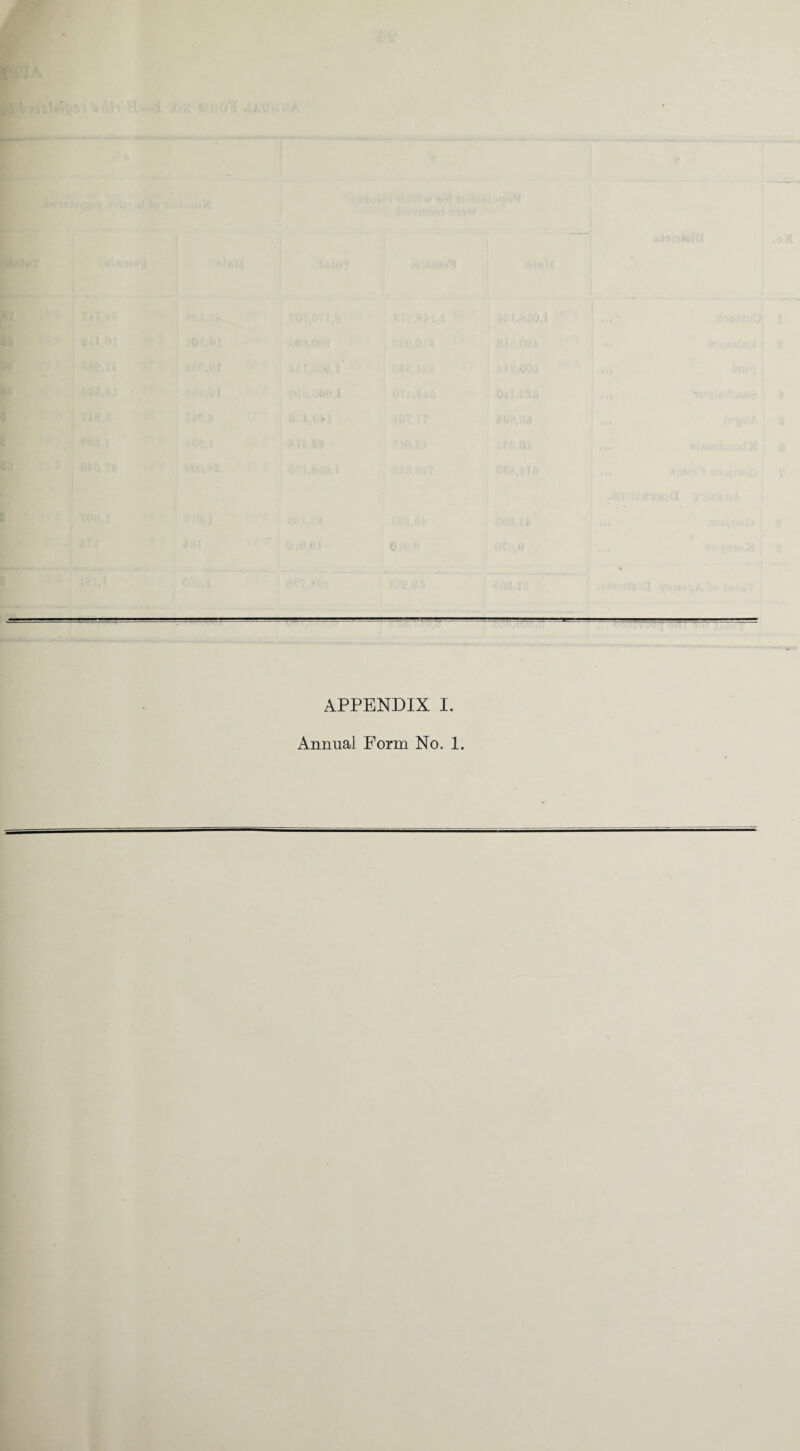 APPENDIX I. Annual Form No. 1.