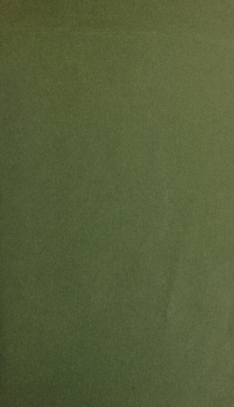 nVJSv';\ ■*?: ■ *•;* • ' ■■ ''■Vv'/'i**;'r. *.?■}$&-'',<*■' ■' ■■ •; *,'•>£■ v'i‘ ■ ■ ■ M: h- . % . pK| Vvl/'X V ?