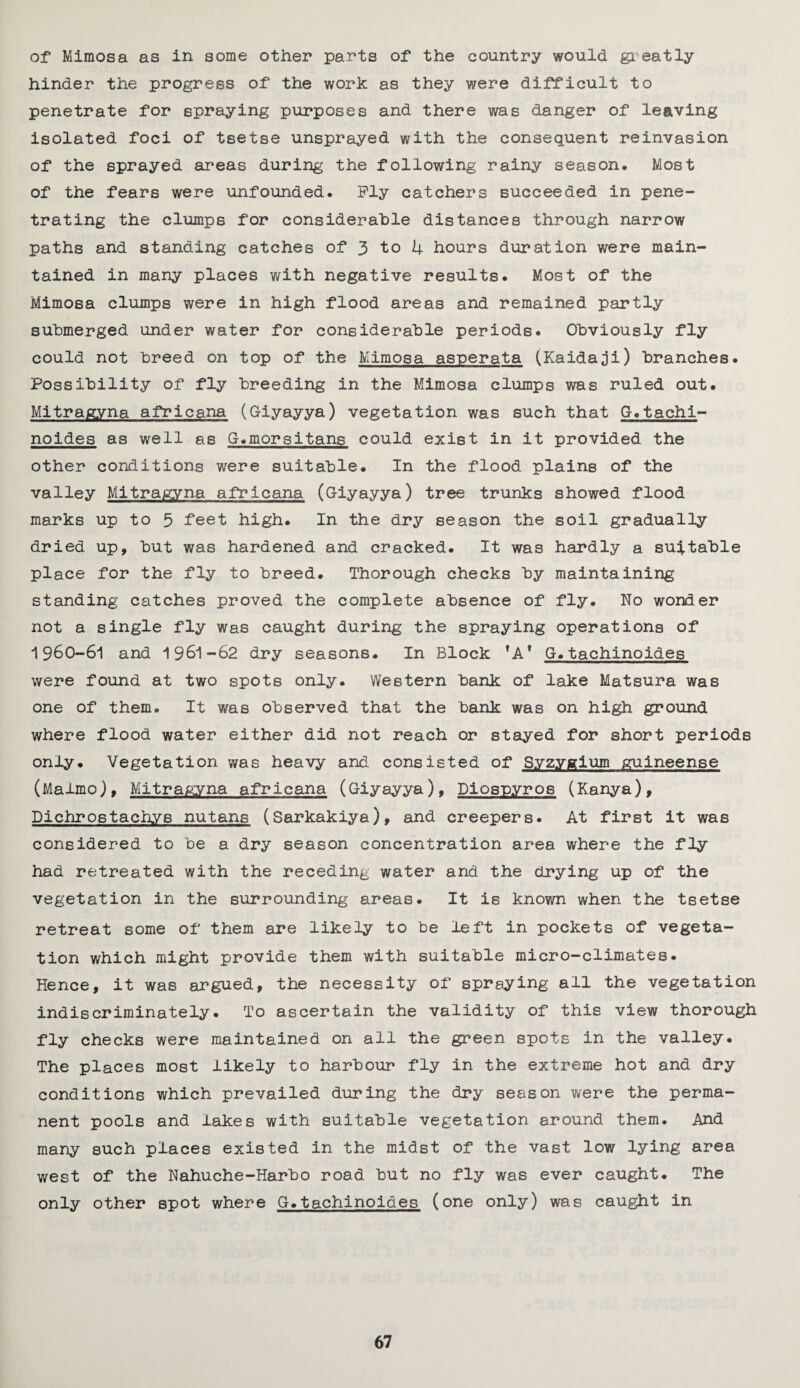 of Mimosa as in some other parts of the country would gi eatly hinder the progress of the work as they were difficult to penetrate for spraying purposes and there was danger of leaving isolated foci of tsetse unsprayed with the consequent reinvasion of the sprayed areas during the following rainy season. Most of the fears were unfounded. Ply catchers succeeded in pene¬ trating the clumps for considerable distances through narrow paths and standing catches of 3 to k hours duration were main¬ tained in many places with negative results. Most of the Mimosa clumps were in high flood areas and remained partly submerged under water for considerable periods. Obviously fly could not breed on top of the Mimosa asperata (Kaidaji) branches. Possibility of fly breeding in the Mimosa clumps was ruled out. Mitragyna africana (Giyayya) vegetation was such that G.tachi- noides as well as G.morsitans could exist in it provided the other conditions were suitable. In the flood plains of the valley Mitragyna africana (Giyayya) tree trunks showed flood marks up to 5 feet high. In the dry season the soil gradually dried up, but was hardened and cracked. It was hardly a suitable place for the fly to breed. Thorough checks by maintaining standing catches proved the complete absence of fly. No wonder not a single fly was caught during the spraying operations of 1960-61 and 1961-62 dry seasons. In Block fA* G. tachinoides were found at two spots only. Western bank of lake Matsura was one of them. It was observed that the bank was on high ground where flood water either did not reach or stayed for short periods only. Vegetation was heavy and consisted of S.yzygium guineense (Malmo), Mitragyna africana (Giyayya), Diospyros (Kanya), Dichrostachys nutans (Sarkakiya), and creepers. At first it was considered to be a dry season concentration area where the fly had retreated with the receding water and the drying up of the vegetation in the surrounding areas. It is known when the tsetse retreat some of them are likely to be left in pockets of vegeta¬ tion which might provide them with suitable micro-climates. Hence, it was argued, the necessity of spraying all the vegetation indiscriminately. To ascertain the validity of this view thorough fly checks were maintained on all the green spots in the valley. The places most likely to harbour fly in the extreme hot and dry conditions which prevailed during the dry season were the perma¬ nent pools and lakes with suitable vegetation around them. And many such places existed in the midst of the vast low lying area west of the Nahuche-Harbo road but no fly was ever caught. The only other spot where G.tachinoides (one only) was caught in