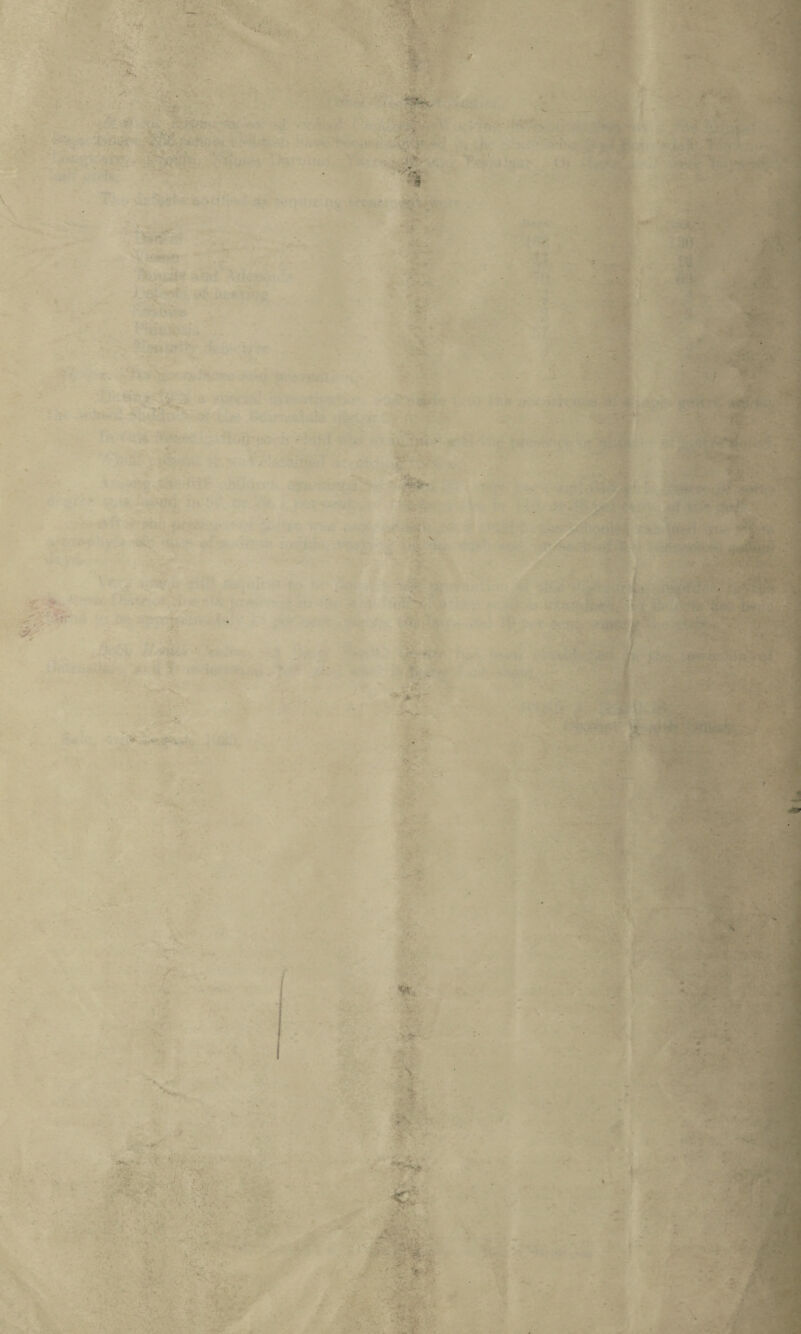 - -•. ' v, . -2? * * ' ^ - • < . ■ 4