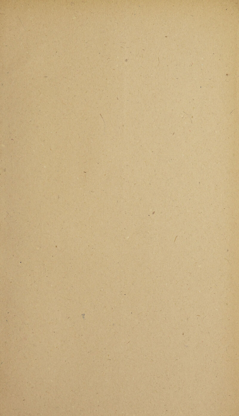 / ■>« I ft V t: V » * \ v s C * / . \1 ( * ' \ * i a ■ 'rr j , «v: > - ~\ ■Jt