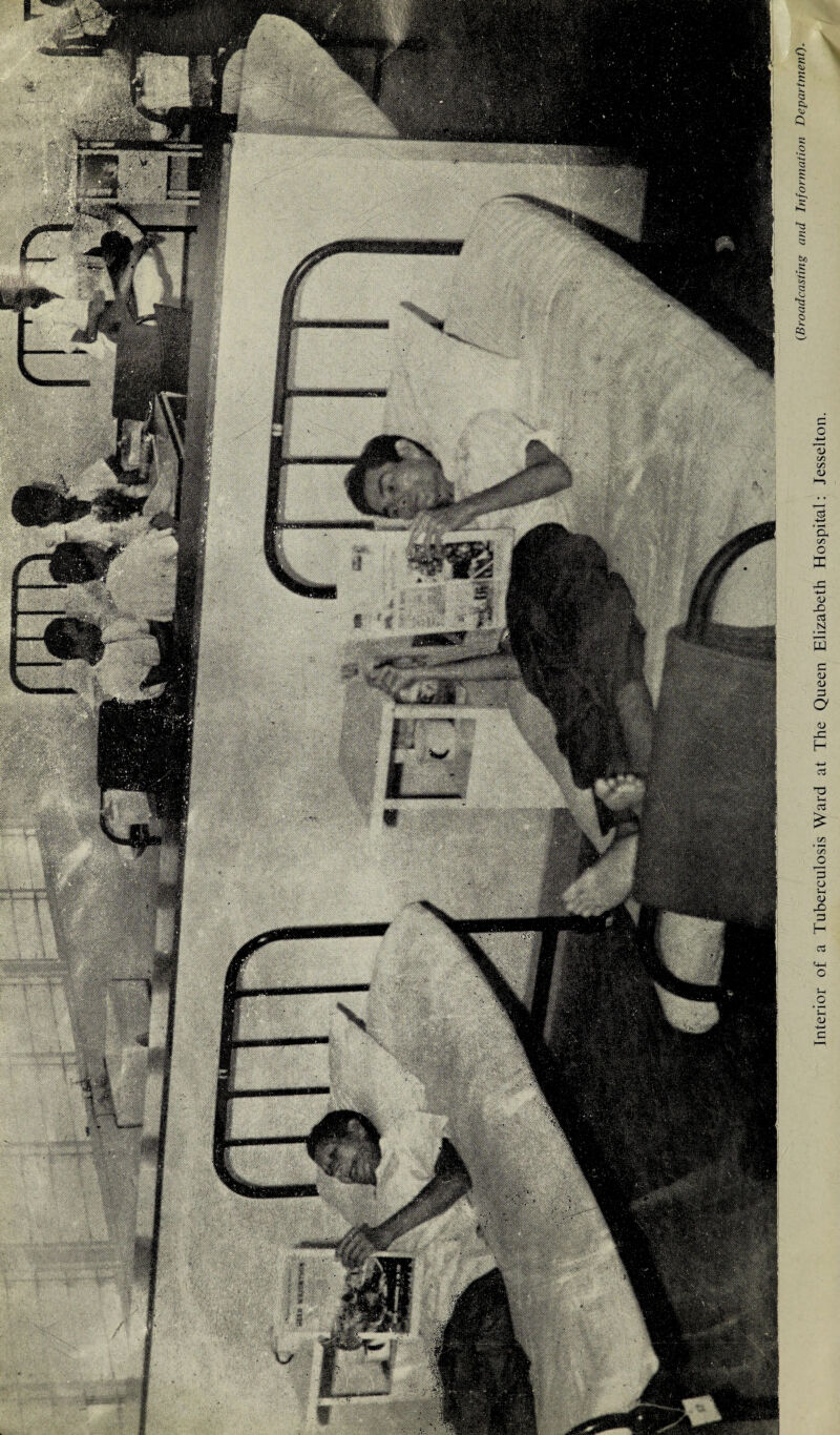 wMm, - ■ ~ : Interior of a Tuberculosis Ward at The Queen Elizabeth Hospital: Jesselton.