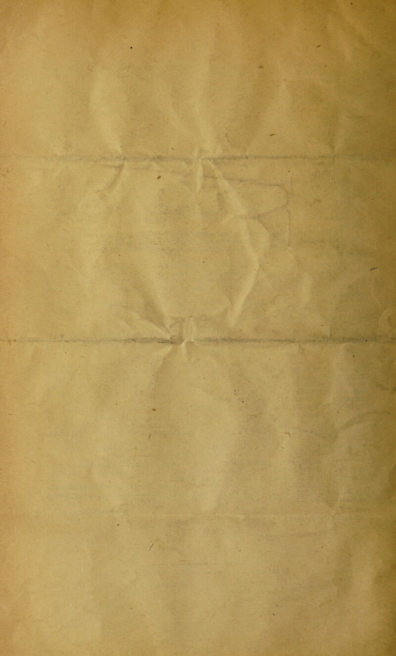 “V / : :* \ ; v ^m i»-. mr .i1*-* ■