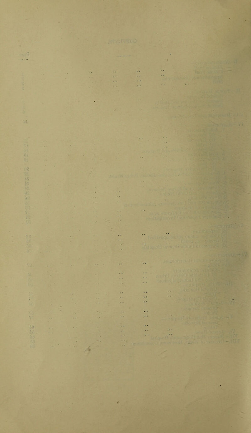 X\ 'J t t 9 • • V J • / . • * < • 9 * * * * • •