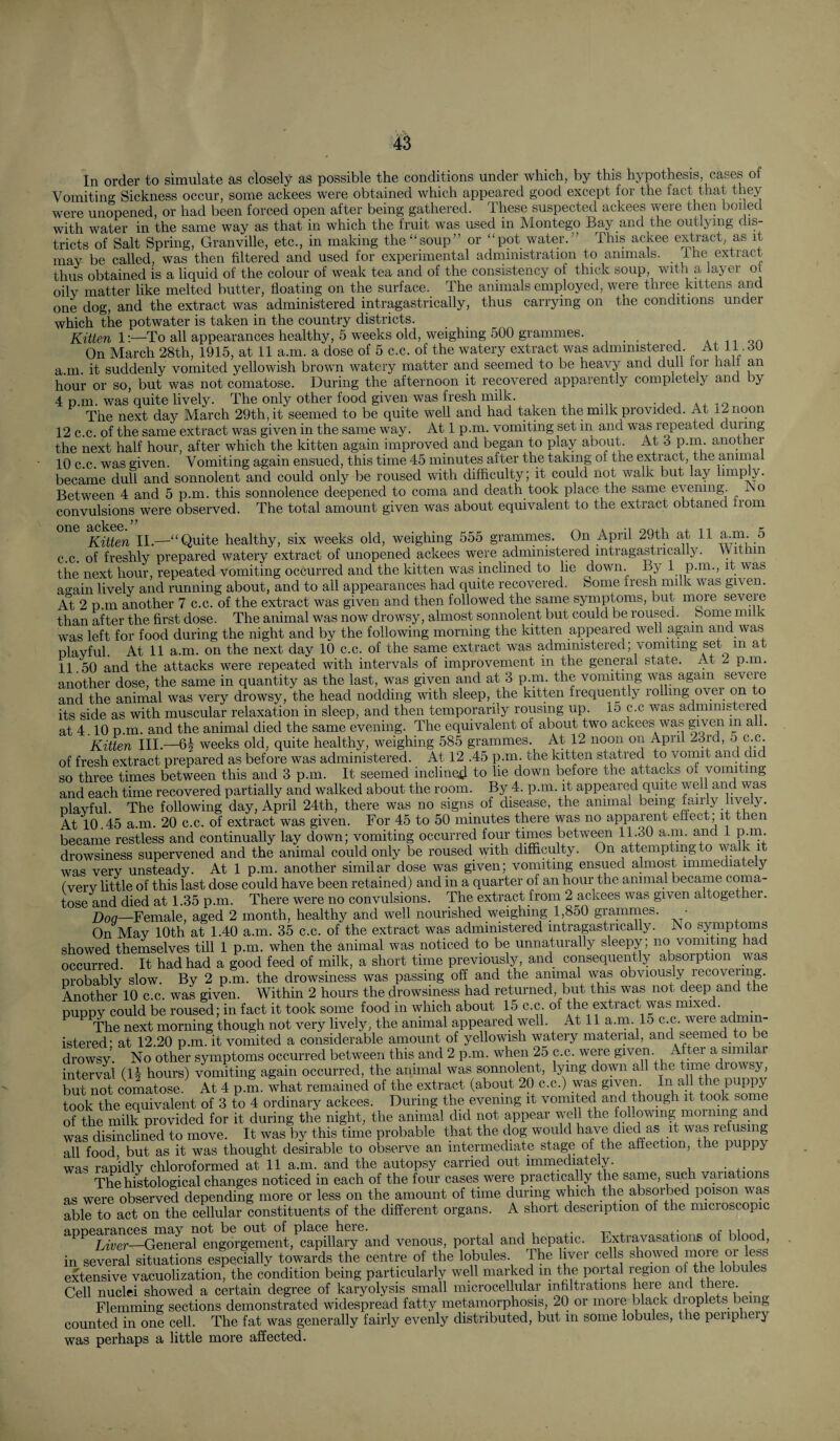 In order to simulate as closely aS possible the conditions under which, by this hypothesis, cases of Vomiting Sickness occur, some ackees were obtained which appeared good except for the fact that they were unopened, or had been forced open after being gathered. These suspected ackees were then boiled with water in the same way as that in which the fruit was used in Montego Bay and the outlying dis¬ tricts of Salt Spring, Granville, etc., in making the “soup” or “pot water.” This ackee extract, as it may be called, was then filtered and used for experimental administration to animals. ihe extract thus obtained is a liquid of the colour of weak tea and of the consistency of thick soup, with a layer of oily matter like melted butter, floating on the surface. The animals employed, were three kittens and one dog, and the extract was administered intragastrically, thus carrying on the conditions undei which the potwater is taken in the country districts. Kitten 1:—To all appearances healthy, 5 weeks old, weighing 500 grammes. . a + 11 on On March 28th, 1915, at 11 a.m. a dose of 5 c.c. of the watery extract was administered. At 11.80 a in it suddenly vomited yellowish brown watery matter and seemed to be heavy and dull for hali an hour or so, but was not comatose. During the afternoon it recovered apparently completely and by 4 p.m. was quite lively. The only other food given was fresh milk. , a.^ io The next day March 29th, it seemed to be quite well and had taken the milk provided. At 12 noon 12 c.c. of the same extract was given in the same way. At 1 p.m. vomiting set in and was repeated during the next half hour, after which the kitten again improved and began to play about. At S p.m. another 10 c.c. was given. Vomiting again ensued, this time 45 minutes after the taking of the extract, the aniinai became dull and sonnolent and could only be roused with difficulty; it could not walk but lay limp y. Between 4 and 5 p.m. this sonnolence deepened to coma and death took place the same evening. Ao convulsions were observed. The total amount given was about equivalent to the extract obtaned from Kitten IL—^* Quite healthy, six weeks old, weighing 555 grammes. On April 29th at 11 a.m. 5 c.c. of freshly prepared watery extract of unopened ackees were administered intragastrically. Vyithin the next hour, repeated vomiting occurred and the kitten was inclined to lie down. By 1 p.m., it was arain lively and running about, and to all appearances had quite recovered. Some fresh milk was given. At 2 p.m another 7 c.c. of the extract was given and then followed the same syinptoms, but more severe than after the first dose. The animal was now drowsy, almost sonnolent but could be roused. Some milk was left for food during the night and by the following morning the kitten appeared well again and was playful. At 11 a.m. on the next day 10 c.c. of the same extract was administered; vomiting set in at 11.50 and the attacks were repeated with intervals of improvement in the general state. At 2 p.m. another dose, the same in quantity as the last, was given and at 3 p.m. the vomiting was again severe and the animal was very drowsy, the head nodding with sleep, the kitten frequently rolling over on to its side as with muscular relaxation in sleep, and then temporarily rousing up. 15 c.c was admiinstered at 4.10 p.m. and the animal died the same evening. The equivalent of about two ackees was gijeji in all. Kitten III.—64 weeks old, quite healthy, weighing 585 grammes. At 12 noon on April 23rd, 5 c.c. of fresh extract prepared as before was administered. At 12 .45 p.m. the kitten statred to vomit and did so three times between this and 3 p.m. It seemed inclined to he down before the attacks of vomiting and each time recovered partially and walked about the room. By 4. p.m. it appeared quite well and was plavful. The following day, April 24th, there was no signs of disease, the animal being fairly lively. At 10.45 a.m. 20 c.c. of extract was given. For 45 to 50 minutes there was no apparent effect, it then became restless and continually lay down; vomiting occurred four times between 11.30 a.m. and 1 P^- drowsiness supervened and the animal could only be roused with difficulty. On attempting to walk it was verv unsteady. At 1 p.m. another similar dose was given; vomiting ensued almost immediately (verv little of this last dose could have been retained) and in a quarter of an hour the animal became coma¬ tose and died at 1.35 p.m. There were no convulsions. The extract from 2 ackees was given altogether. Female, aged 2 month, healthy and well nourished weighing 1,850 grammes. ■ On May 10th at 1.40 a.m. 35 c.c. of the extract was administered intrapstrically. JNo symptoms showed themselves till 1 p.m. when the animal was noticed to be unnaturally sleepy; no vomiting had occurred. It had had a good feed of milk, a short time previously, and consequently absorption was probably slow. By 2 p.m. the drowsiness was passing off and the animal was obviously recovering. Another 10 c.c. was given. Within 2 hours the drowsiness had returned, but this was not deep and the puppy could be roused; in fact it took some food in which about 15 c.c. of ‘ • The next morning though not very lively, the animal appeared well. At 11 a.m. 15 c.c. were ad’mn- istered- at 12.20 p.m. it vomited a considerable amount of yellowish watery material, and seemed to be drowsy. No other symptoms occurred between this and 2 p.m. when 25 c.c. were given After ^ simi ar interval (14 hours) vomiting again occurred, the animal was sonnolent, lying down all the time diowsy, but not comatose. At 4 p.m. what remained of the extract (about 20 c.c.) was given. In the puppy took the equivalent of 3 to 4 ordinary ackees. During the evening it vomited and though it took some of the milk provided for it during the night, the animal did not appear well the following moining a c was disinclined to move. It was by this time probable that the dog would have died as it was refusing all food but as it was thought desirable to observe an intermediate stage of the affection, the puppy was rapffily chloroformed at 11 a.m. and the autopsy carried out immediately. The histological changes noticed in each of the four cases were practically the same, such vaiiations as were observed depending more or less on the amount of time during which the absorbed poison was able to act on the cellular constituents of the different organs. A short description of the nucroscopic appearanc^s^may^no^t^be^^ and venous, portal and hepatic. Extravasations of blood, in several situations especially towards the centre of the lobules. The liver cells showed oi less extensive vacuolization, the condition being particularly well marked in the portal region oI I^e lobules Cell nuclei showed a certain degree of karyolysis small microcellular infiltrations here and Flemming sections demonstrated widespread fatty metamorphosis, 20 or more black droplets being counted in one cell. The fat was generally fairly evenly distributed, but in some lobules, the peupheiy was perhaps a little more affected.