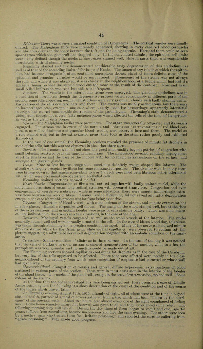 Kidneys—There was always a marked condition of Hyperaemia. The cortical venules were usually dilated. The Malpighian tufts were intensely congested, showing in every case red blood corpuscles and hbrinous debris in the space between the tuft and the lining capsule. Here and there could be seen spaces from which the glomeruli had dropped out. In the convoluted tubules, the epithelial cell limits were badly defined though the nuclei in most cases stained well, while in parts there was considerable necrobiosis, with ill staining nuclei. Flemming stained sections demonstrated considerable fatty degeneration of this epithelium, as well as of that of the ascending hmbs of the loops of Henle. The lumen of any tubule of which the epithe¬ lium had become disorganised often contained amorphous debris, whi st at times definite casts of the epithelial and granular varieties would be encountered. Prominence of the stroma was not always the rule, and where it was observed, it was chiefly in the neighbourhood of a tubule which had lost it s epithelial lining, so that the stroma stood out the more as the result of the contrast. Now and again small celled infiltration was seen but this was infrequent. Pancreas.—The vessels in the interlobular tissue were engorged. The glandular epithelium was in a condition of necrobiosis though this degenerative process varied considerably in different parts of the section, some cells appearing normal whilst others were very granular, cloudy with badly staining nuclei. Vacuolation of the cells occurred here and there. The stroma was usually oedematous, but there were no haemorrhages seen, except in one case where a fairly extensive haemorrhage, apparently interstitial in origin had caused considerable destruction of the parenchyma. Flemming’s stain demonstrated a widespread, though not severe, fatty metamorphosis which affected the cells of the islets of Langerhans as well as the gland cells proper. Spleen—The Malpighian bodies-were prominent. The organ was generally congested and its vessels engorged. The stroma was in excess of the normal and oedamatous; extravasations of red blood cor¬ puscles, as well as fibrinous and granular blood residue, were observed here and there. The nuclei as a rule stained well, but in the extravasated areas, they took in the stain rather poorly and exhibited Karyolysis. In the case of one animal, the Flemming sections revealed the presence of minute fat droplets in some of the cells, but this was not observed in the other three cases. Stomach—The stomach wall did not show any great abnormality beyond patches of congestion with small petechige scattered over the mucous membrane. The microscope revealed capillary engorgement affecting this layer and the base of the mucosa with haemorrhagic extravasations on the surface and amongst the gastric glands. Lungs—More or less intense congestion sometimes definitely wedge shaped like infarcts. The alveoli were largely occupied by fibrin but some contained corpuscles. The alveolar walls in many cases were broken down so that spaces equivalent to 4 or 5 alveoli were filled with fibrinous debris intermixed with which were occasional leucocytes and epithelial cells. Flemming stained sections showed no fat. Heart Muscle—Fragmentation of fibres was noticed together with badly stained nuclei, while the individual fibres showed coarse longitudinal striation with obscured transverse. Congestion and even engorgement of vessels were observed while in some situations, there were minute haimorrhagic extra¬ vasations between the rows of fibres. Tissues fixed in Flemming did not reveal any fatty degeneration except in one case where this process was far from being extensive. Thymus—Congestion of blood vessels, with some oedema of the stroma and minute extravasations in a few places. Hassall’s corpuscles well shown. The nuclei on the whole stained well, but at the sites of the extravasations, and in certain lobules were areas of cells staining badly. There was some micro- cellular infiltration of the stroma in a few situations, in the case of the dog. Cerebrum—Meningeal vessels congested, as well as the small vessels of the interior. The nuclei generally stained well and were normally situated in the cell. In the case of kitten 3 and dog, this tissue was taken through Flemming and a peculiar condition revealed. Many of the nerve cells showed minute droplets stained black by the Osmic acid, while several capillaries were observed to contain fat, the picf,ure suggesting a mixture of nerve cell degeneration together with an embolic condition of the capil¬ laries. Cerebellum—Similar condition of affairs as in the cerebrum. In the case of the dog it was noticed that the cells of Purkinje in some instances, showed fragmentation of the nucleus, while in a few the protoplasm was very granular and no nucleus could be made out at all. The Flemming sections showed capillaries containing fat droplets as in the case of the Cerebrum but very few of the cells appeared to be affected. Those that were affected were mainly in the close neighbourhood of the capillary from which some emigration of corpuscles had occurred or whose wall had given way. Mesenteric Gland—Congestion of vessels and general diffuse hyperaemia; extravasations of blood scattered in various parts of the section. These were in most cases seen in the interior of the lobules of the gland tissue. The nuclei of the gland cells, except in the area of extravasation, stained well. Some oedema of the stroma. At the time that the above investigations were being carried out, there occurred a case of definite Ackee poisoning and the following is a short description of the onset of the condition and of the course of the illness which proved fatal. On Thursday evening, August 19th, 1915, a family of eight, all of whom were at the time in a good state pf health, partook of a meal of ackees gathered from a tree which had been “blown by the hurri¬ cane” of the previous week. About two hours later almost every one of the eight complained of feeling sick. Some home remedy (naUire not known) was given to all and they experienced some relief. The following morning they still felt ill. During the day three of them began to vomit and one, age 42 years, suffered from convulsions, became unconscious and died the same evening. The others were seen by a medical man who treated them for “irritant poisoning” and reported the cases as suffering from “ackee poisoning.” They made good progress.
