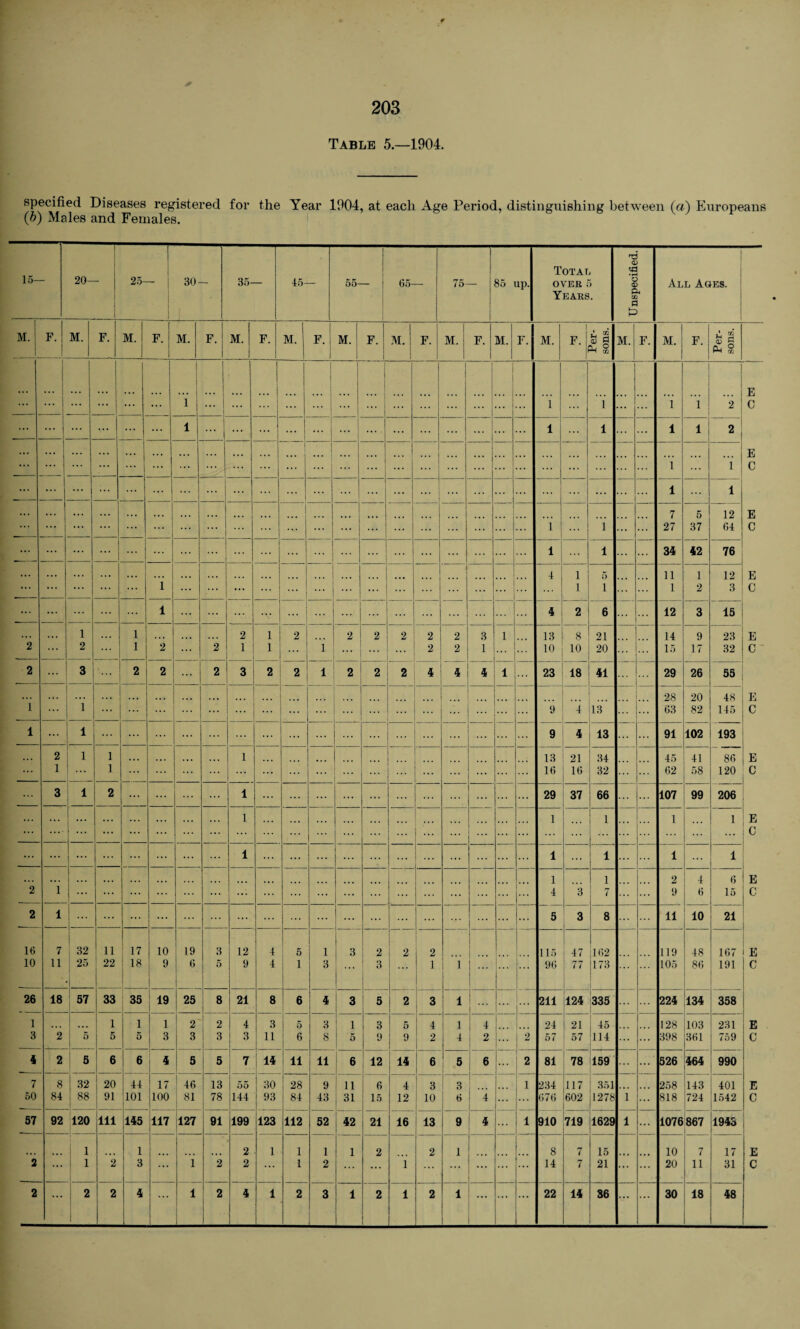 Table 5.—1904. specified Diseases registered for the Year 1904, at each Age Period, distinguishing between (a) Europeans (b) Males and Females.