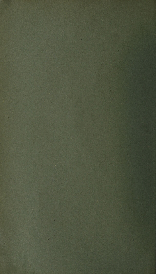 digitised image 2