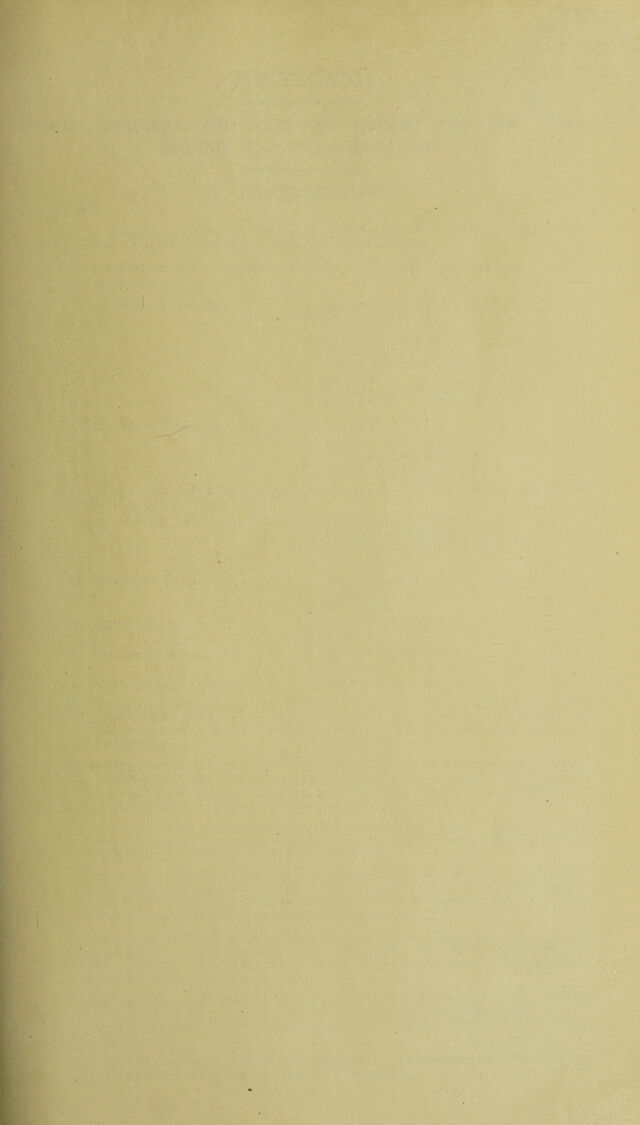 digitised image 3