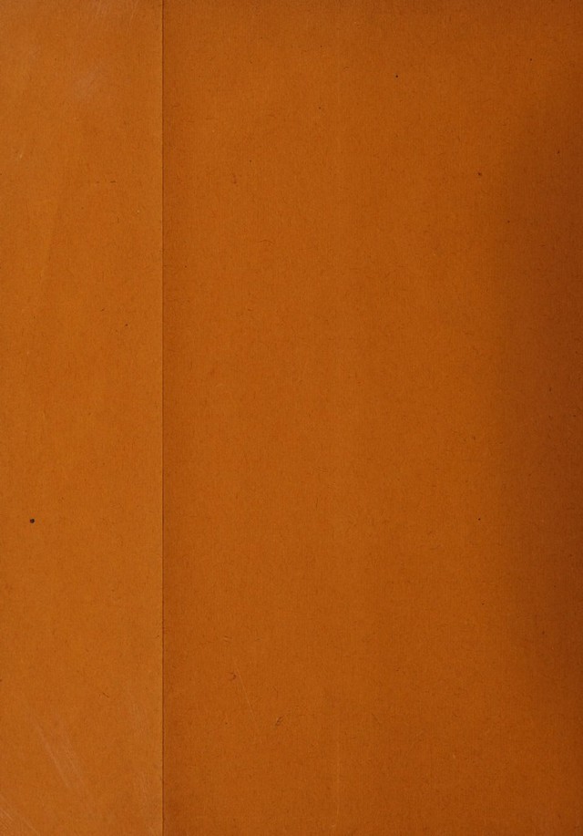 digitised image 2