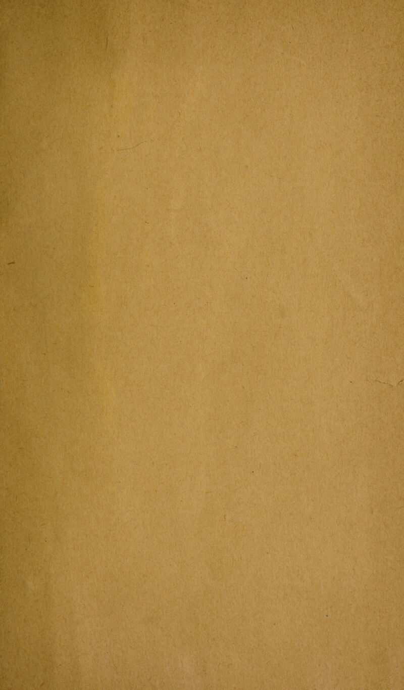 >'VV- : : ■ ■ f'-i, -'V / '