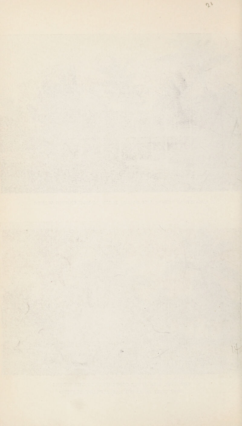 1 T. . . ■ r'^ - r..» - » ‘ y-.- ■ *y ■ ?,*'*?* ^ ir<* j '/ . * rX' * ^ ^ ’V .V- .Xi r :4?4->>vr .,-^XVo •■•- .i’ . ■ . .. ■'•*'■■■ * --v : •:’' %>  : ^ ';*v .C ' V-v^ ^ ..■■ ‘■' •■- ■ ■ ■' ■- -. .. - ‘ ■«*v - ‘ ■■'r i. ;■ t*><'. ■■-■.. , • : •■•■: ... .. *•>• . •■■■'.. ■• ■', \-j*' ■ - ' fy v ■'. • .V y •', ‘ ' ''.y • w ''f. X ; ■;. i^-^ > •• 'J-. A ... ..'■ .:• '■ ' >. ■;■.■ ' . <■ ■ ' ■’*-.. • >.**^31 >.. - ', ■ y..-. : A .... yy v.yy:.>>■• ■•'■'•./.», V*. %'- ■ •^--“^..'iv. .•■■<•.-'>'■ •■ •'V’Jp H • ■•■■ . •' -i::' '• * • : : -..K- .V, “ '. >■ .' .. ; ■'•■ ' '. '' ■ ••y.,, .’t^; :-i*. : - :- •- .j.'. ■„ . ..'J^ ^.•., '■i-• '> -',■7 _}'■ ’ •ry;:: ^ •'A’ *•.'' tlT* •. r . »• ■ ''rAitu *<*'#‘,' './>* V* •. ,1. 'a •■' ...» y^''. ''V\^.y<-- . ^^'Vvy.. ^ '*■ r f)'. .v 'v.-.. i' : t.-; • ' 'I**, ' . ■'•■•■ .V ■ ‘.r y... 4 -’^4