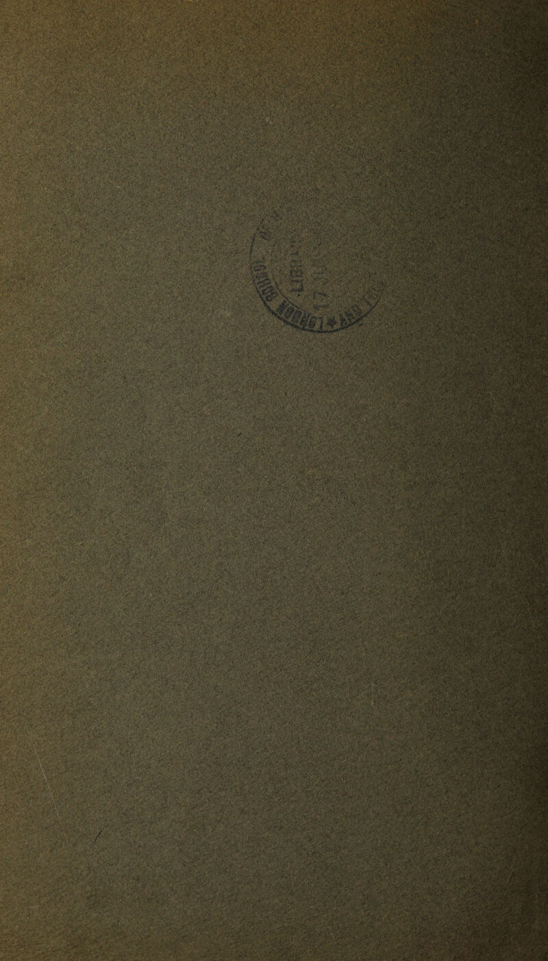 ■ a. ,:V«.‘; '■;'./ v;-y. * .-■ +* „ ■ ••V ■**” .-■ • ••',:•' •• ■sJfcttr-vfrfe$£ ■ V i -C ' .-■>• V^... >-0; • ,- *3. .. <•. >•*; • ,.-y ■ ■ .•■ OCX. £:{<fc :•:• ;V-^vv:v/v'%'••• ;W,,.•••*:•. -;fX;:;vy; ■ • N.'. '' - v.' ';<■*• wslll Ay'A .',%' *-r;* A -'A-.fX-- -A -AAA :. - . AyAyyA :•■'■' .' •' yyy?- V: A •■ y yyy.y‘- y ? A '-‘XA. Ay:v>. -yy •* ■ ■ v-ava ■ v1  ... '.''.;V » 1 iV^. .'• VV -f .'<A S'»\* yjVY« ■ ■.■'.•• ■■ ■-'.' :..i'* .-- .,• . ,..•■■• ■■•-. ' -. -t-.■ V'.s. . - ' v;s SkS IS y-A'A' Mi ■•■• :~*£‘ ..-T •■'•'•si!'.. '• ',■■ . V>> ••'• ••••'. . '•V:i. 4 ^ ■ • . . •- ■•. • ' - » , -,. *<■ . .*? / -jt-’J'.' .V'.* '■' >' ■ .'<?■ . V; t j-’1'V'‘ a .' ■;;' '-i ■ . .*»> '' ' ' ■ yy ; ■ ■ A-/> Xy y ■ v: ■ yy; ':y a . A:5->fV 'Vr-;VA’?-1 ■ 'A v'-r- ;'n: !’■’• i1 ■y- H ■ yy; -yy ■«M#s. ;; ' ' ■ a-XAA r--wS ,V,:&,'•■ ■■ ■ ■ v-V'.. mm •Kffin fl'vrK  J  ■ ■> ; V :,j* v ■ jjit . •-V-. '■•;• .v^ *v.;-: ' A •■-'Aa ;; --v-:- ••: s, v.. • :..'t,’r: V-'•• ■ •' * . ,s > • • ' >’■>.'V r. y. ..; .-V-V^v';v^vy.V%2 . ' s. V.-. •.. •. • *.:r ■ ■ yyysyyyyyA v>f* f* JV UV-H ^ j^as- Ay;- /•t v- ■ . , ... . . y y •-, y;'v- ■ '.'A. - . 'xw ;>v ■'.■!'■ .'A* • vy ; ••• Xy'.r.X^-A; - -X ■ A . ’7-‘VV*5: y Vv^y v'.-'v y;:;y Ay . iVV.'' 'A y; ;A;:-5»v^VC-;' ■:Av 'S-'icysyW11: '■'■■ '.•.Xi-v-vy ' . ■ •• >.■ V.N.y .• v. %'«.;•••vyr.W# -v '■ 'j.: 'xv.' •vir’W.itR*: r- •:ryyy ;U; ..vX': :*•' ■Sli ■ v ,: • ■. ■■■’■■:! ■■..yyy;y--vy .;. ■■ ' « - V A .. . v. y . ' . * . „ • KV,- 7'„- k.; f /’.? •: r< S ; -. &j#§[ .. • ' . ■ ... • >’• - ; X • * •.- X. '-'i • .:-•-. -< y.■■.... v ..-.;.v- ,.!*•.«. ,■ > ■ apiM SiliiiS . ■ t' ' •* ■ -, y ■ : j-,---.v*. -i; ^-'--Hf-<v!.:*• y‘ ■ ' A:1 ... '■y-1 ' - r Vt-A’ v ■’■ ■ ••••'* ; -• • . /*•';. A'/Xy