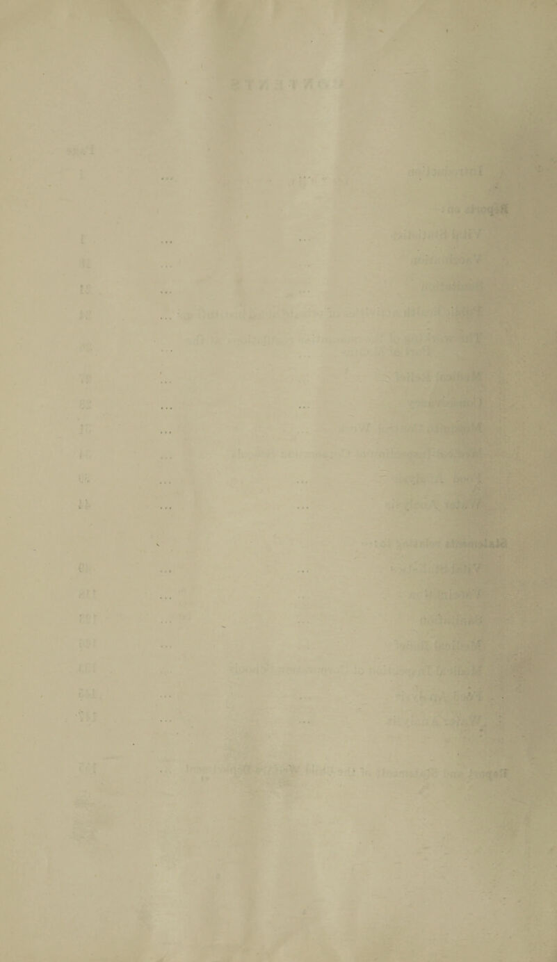 o • ■» » V. >■' * • . • I * » < I l t t I