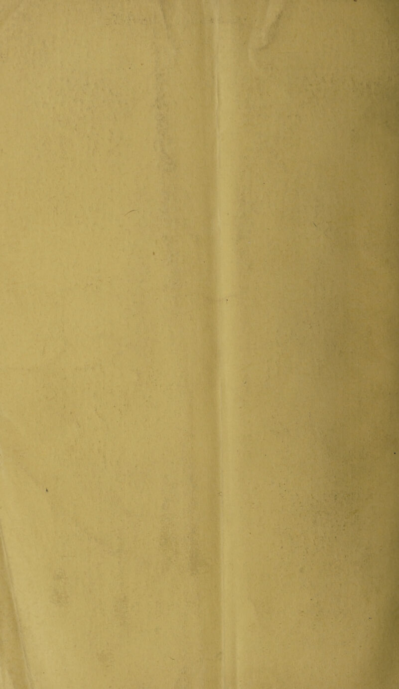 - . ... ... '« ' • , * ' * ■ ■ . A ;; ■■■'% . r ■ « *N V . . Vi ' * . ‘ < . 1 • ■ - i I ■ ■ . k . s r, i. gg . - • Bfl . • <■'?* ■* • .. ■ ' , ■; Jfi‘ Ml ' V • ' . * • \ ■■ • . • •; „ ' • M : ■«