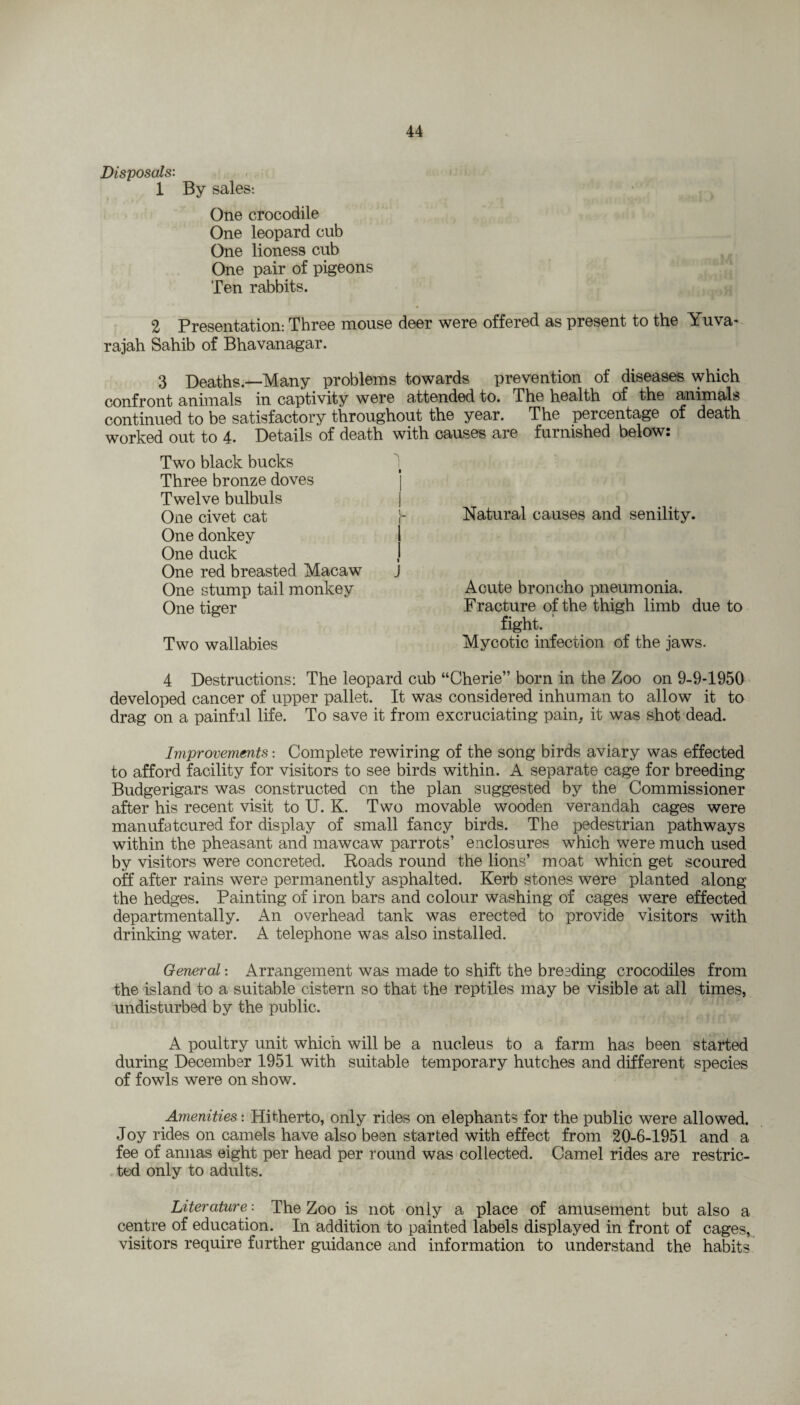 Disposals: 1 By sales: One crocodile One leopard cub One lioness cub One pair of pigeons Ten rabbits. 2 Presentation: Three mouse deer were offered as present to the Yuva- rajah Sahib of Bhavanagar. 3 Deaths—Many problems towards prevention of diseases which confront animals in captivity were attended to. The health of the animals continued to be satisfactory throughout the year. The percentage of death worked out to 4- Details of death with causes are furnished below. Two black bucks Three bronze doves Twelve bulbuls J One civet cat One donkey 1 One duck J One red breasted Macaw J One stump tail monkey One tiger Two wallabies Natural causes and senility. Acute broncho pneumonia. Fracture of the thigh limb due to fight. Mycotic infection of the jaws. 4 Destructions: The leopard cub “Cherie” born in the Zoo on 9-9-1950 developed cancer of upper pallet. It was considered inhuman to allow it to drag on a painful life. To save it from excruciating pain, it was shot dead. Improvements: Complete rewiring of the song birds aviary was effected to afford facility for visitors to see birds within. A separate cage for breeding Budgerigars was constructed on the plan suggested by the Commissioner after his recent visit to U. K. Two movable wooden verandah cages were manufatcured for display of small fancy birds. The pedestrian pathways within the pheasant and mawcaw parrots’ enclosures which were much used by visitors were concreted. Eoads round the lions’ moat which get scoured off after rains were permanently asphalted. Kerb stones were planted along the hedges. Painting of iron bars and colour washing of cages were effected departmentally. An overhead tank was erected to provide visitors with drinking water. A telephone was also installed. General: Arrangement was made to shift the breeding crocodiles from the island to a suitable cistern so that the reptiles may be visible at all times, undisturbed by the public. A poultry unit which will be a nucleus to a farm has been started during December 1951 with suitable temporary hutches and different species of fowls were on show. Amenities: Hitherto, only rides on elephants for the public were allowed. Joy rides on camels have also been started with effect from 20-6-1951 and a fee of annas eight per head per round was collected. Camel rides are restric¬ ted only to adults. Literature -. The Zoo is not only a place of amusement but also a centre of education. In addition to painted labels displayed in front of cages, visitors require further guidance and information to understand the habits